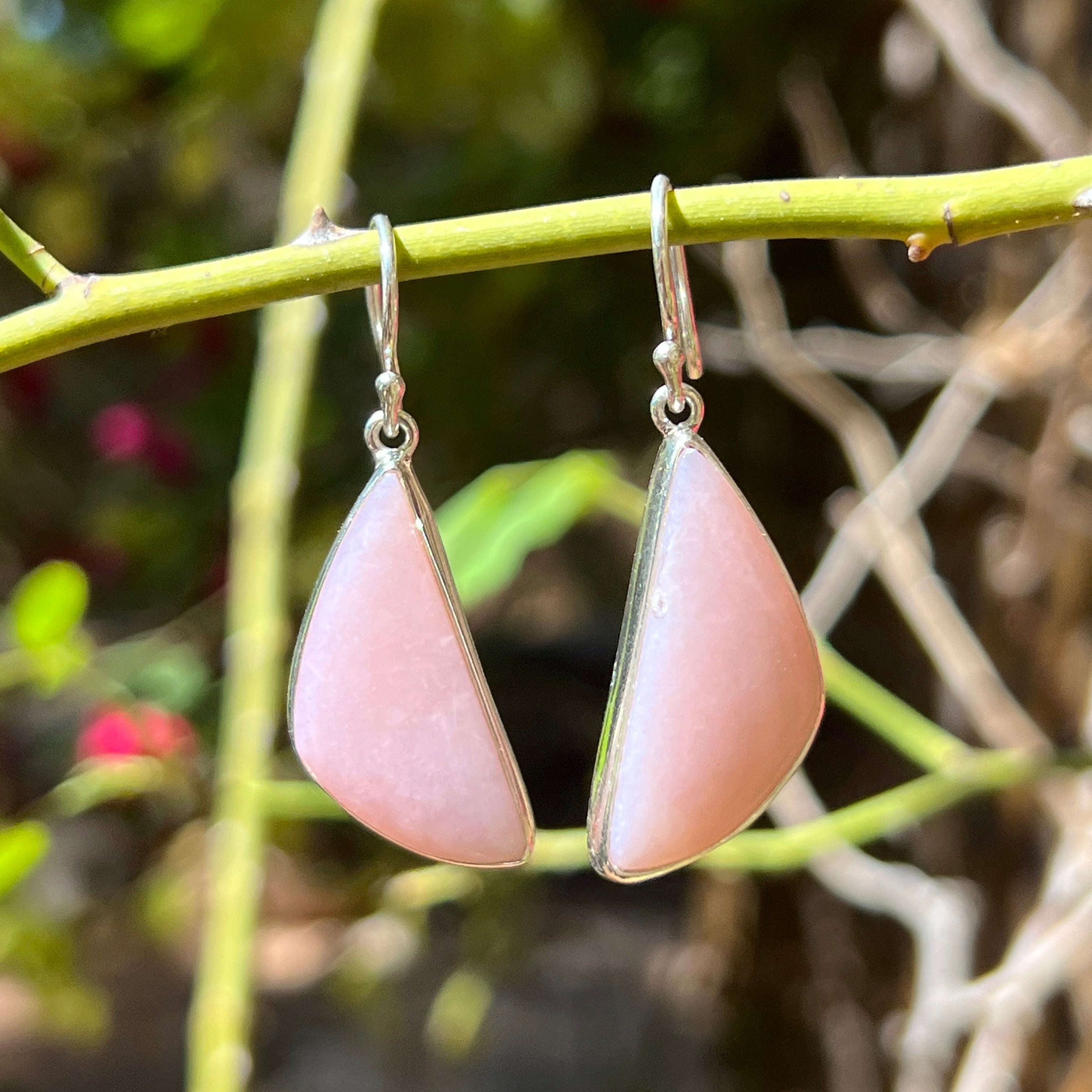 Starborn Pink Opal Dangle Earrings in Sterling Silver