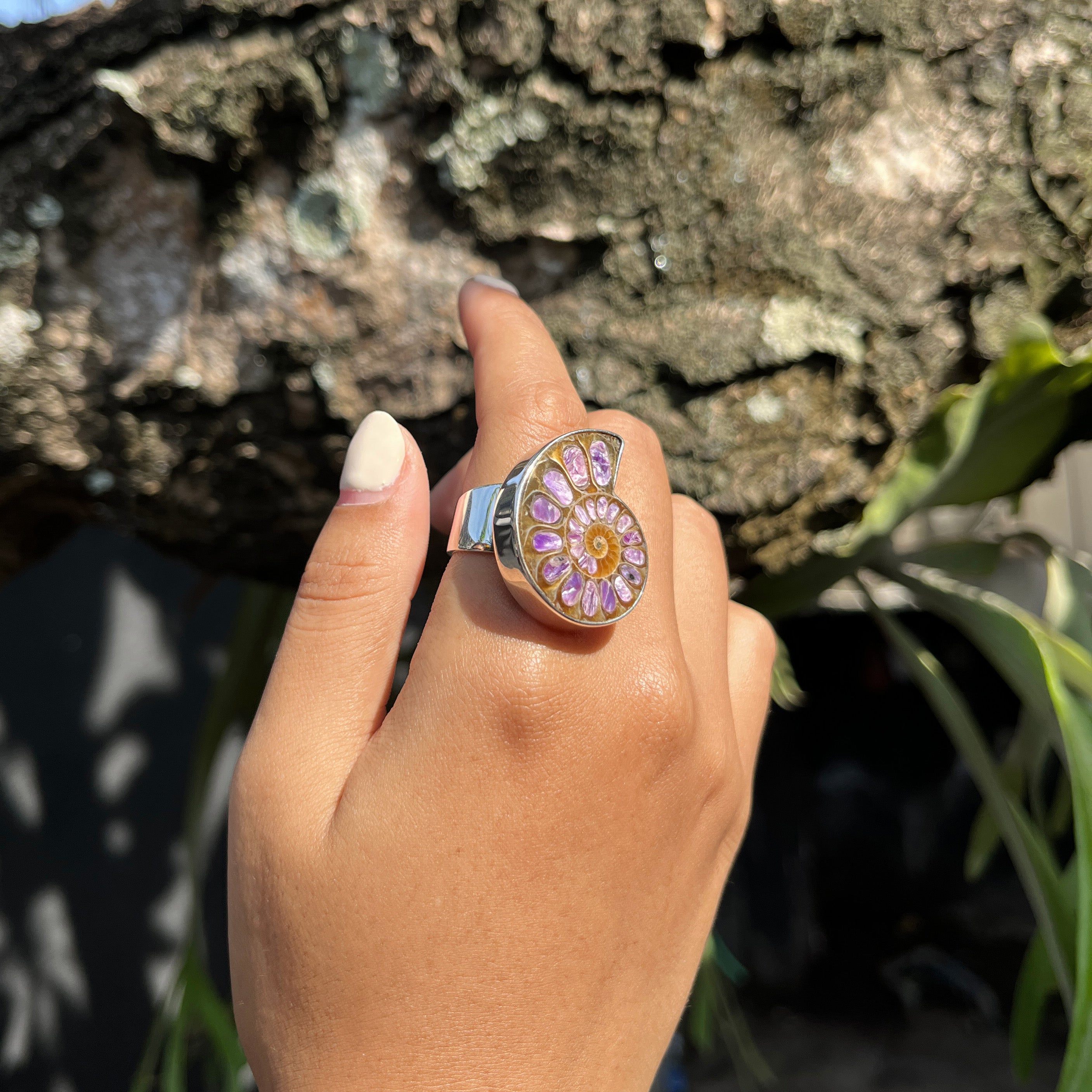 Starborn Ammonite with Charoite Inlay Ring in Sterling Silver - Size 7