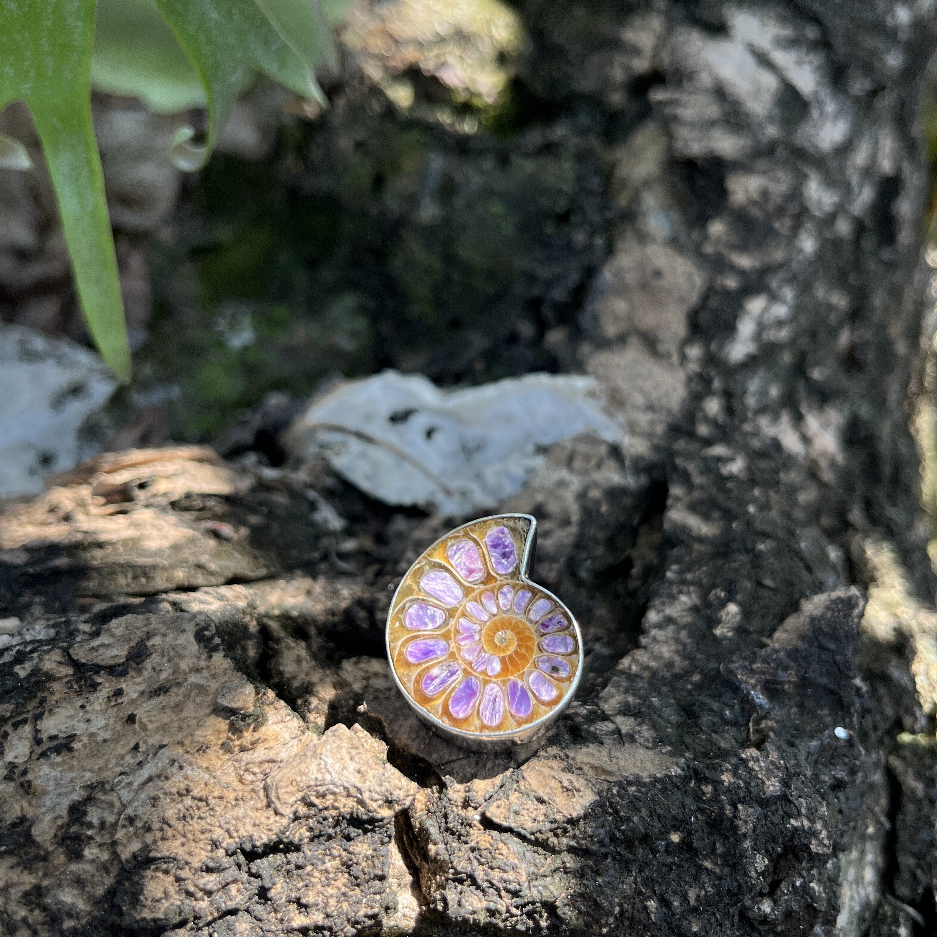 Starborn Ammonite with Charoite Inlay Ring in Sterling Silver - Size 7