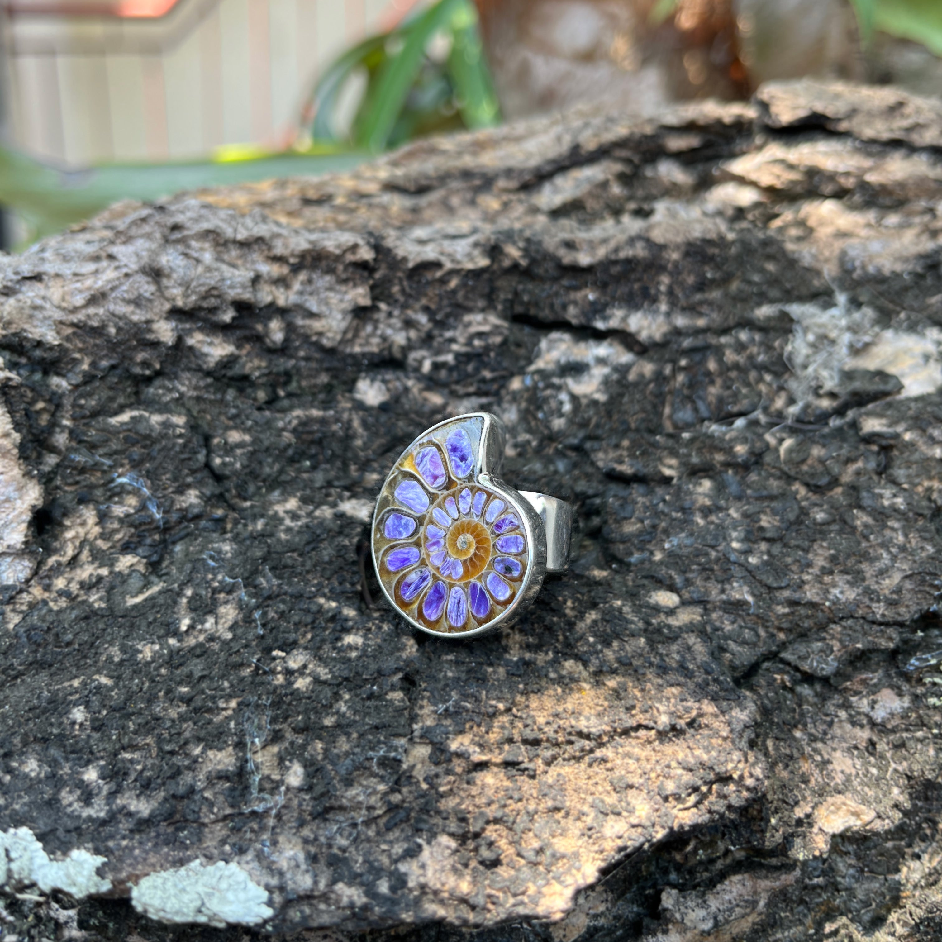 Starborn Ammonite with Charoite Inlay Ring in Sterling Silver - Size 7