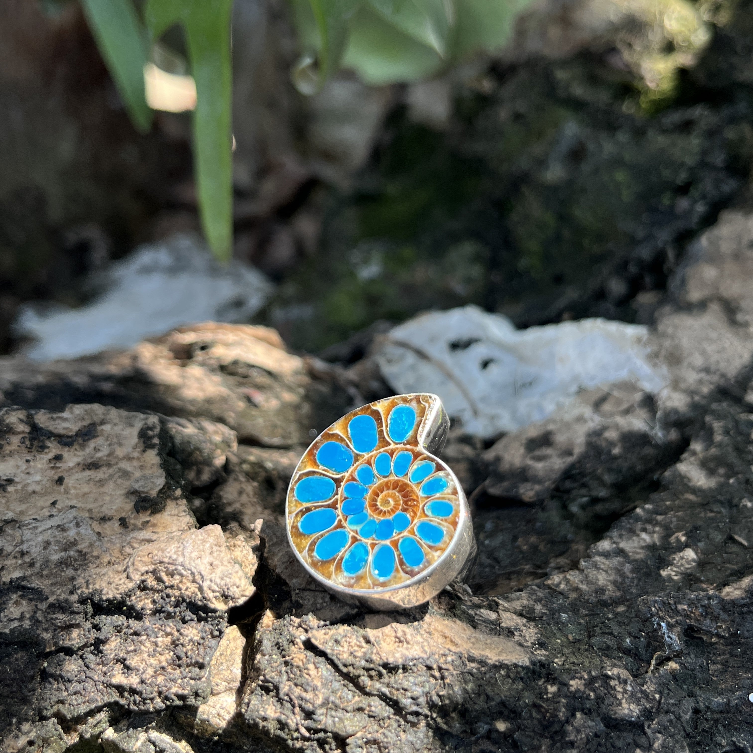 Starborn Ammonite with Peruvian Blue Opal Inlay Ring in Sterling Silver - Size 9