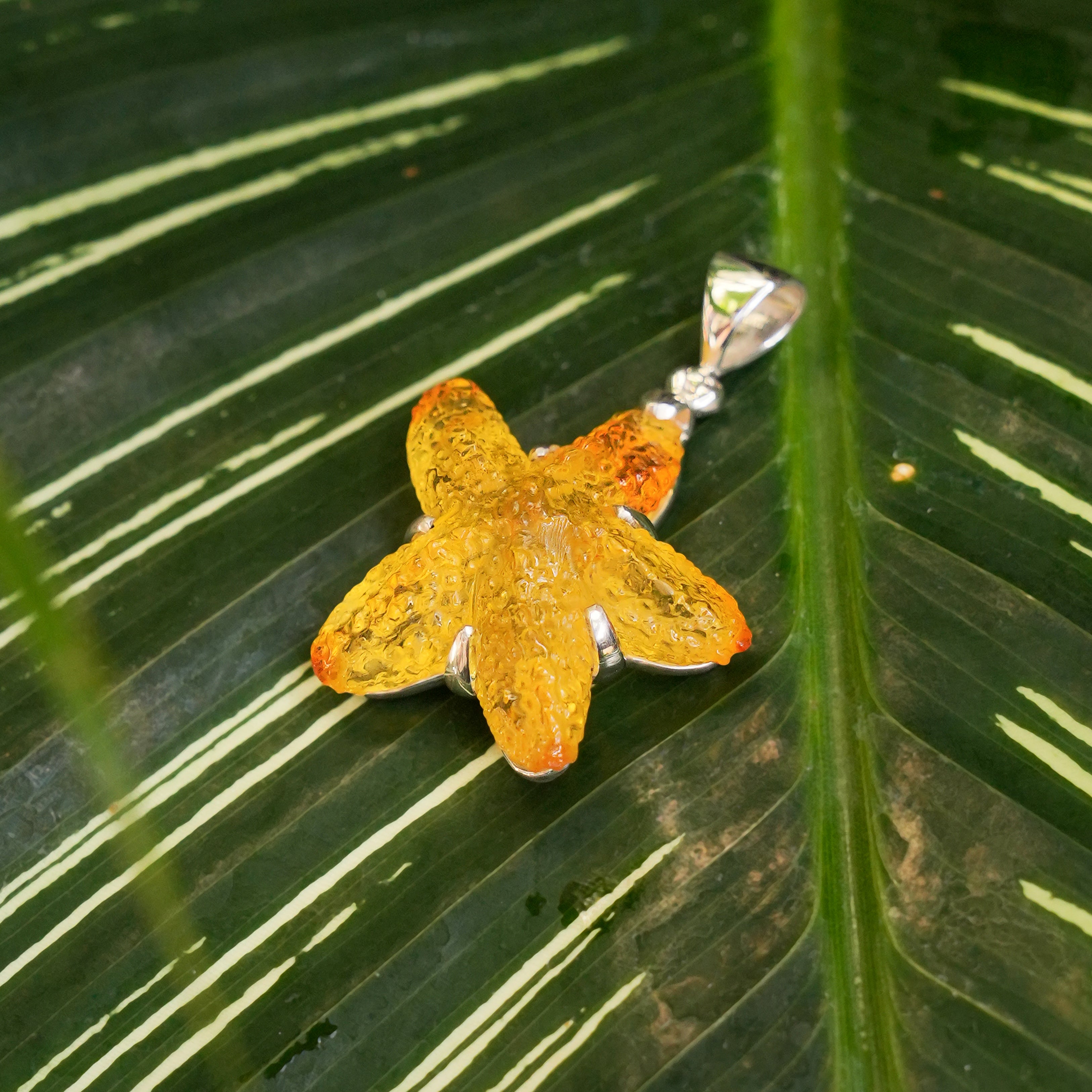 Starborn Hand Carved Baltic Amber Starfish Pendant in Sterling Silver