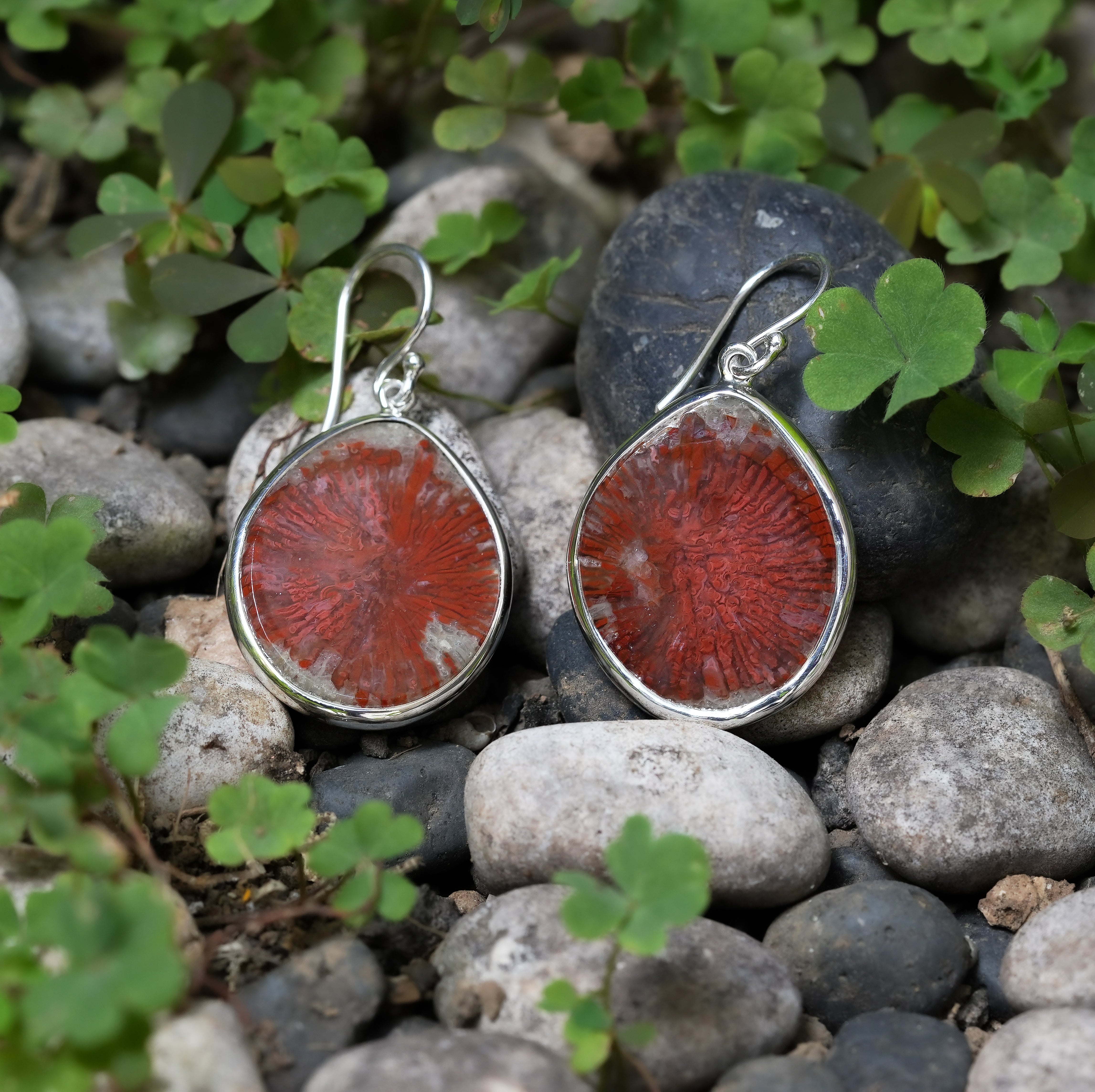 Starborn Utah Fossil Red Horn Coral Earring in Sterling Silver