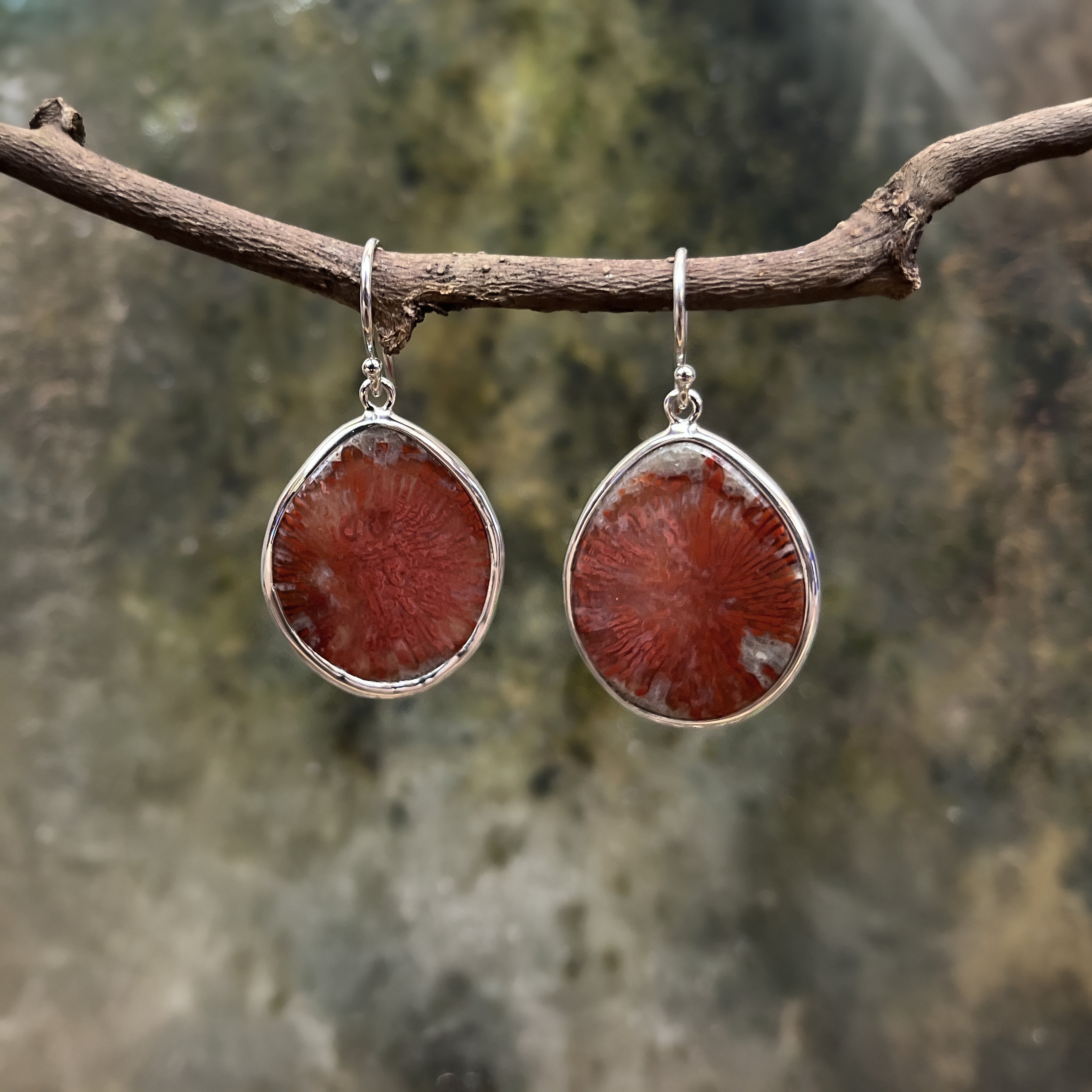 Starborn Utah Fossil Red Horn Coral Earring in Sterling Silver