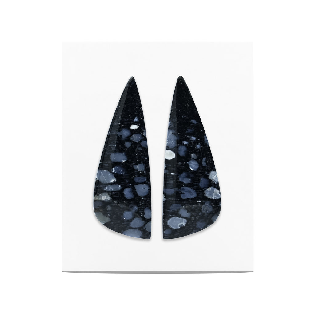 Fossil Palm Root Freeform Cabochon 32x11mm - 1 pair | Starborn