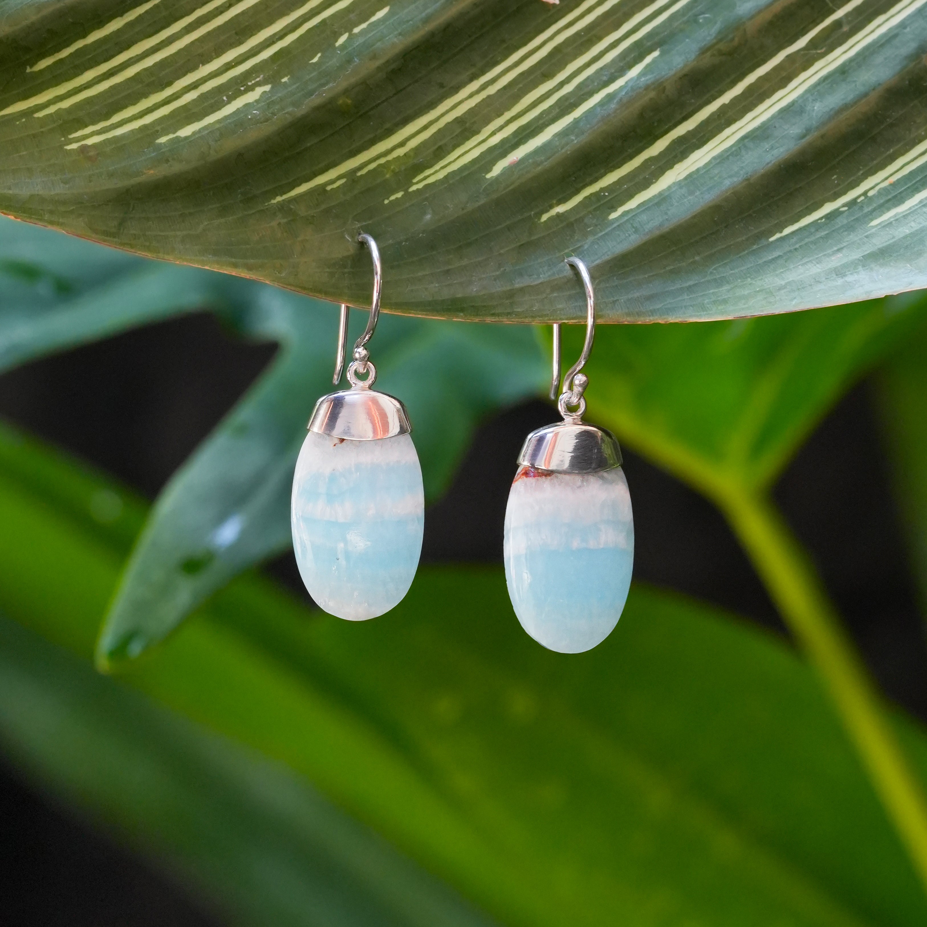 Starborn Hemimorphite Dangle Earrings in Sterling Silver