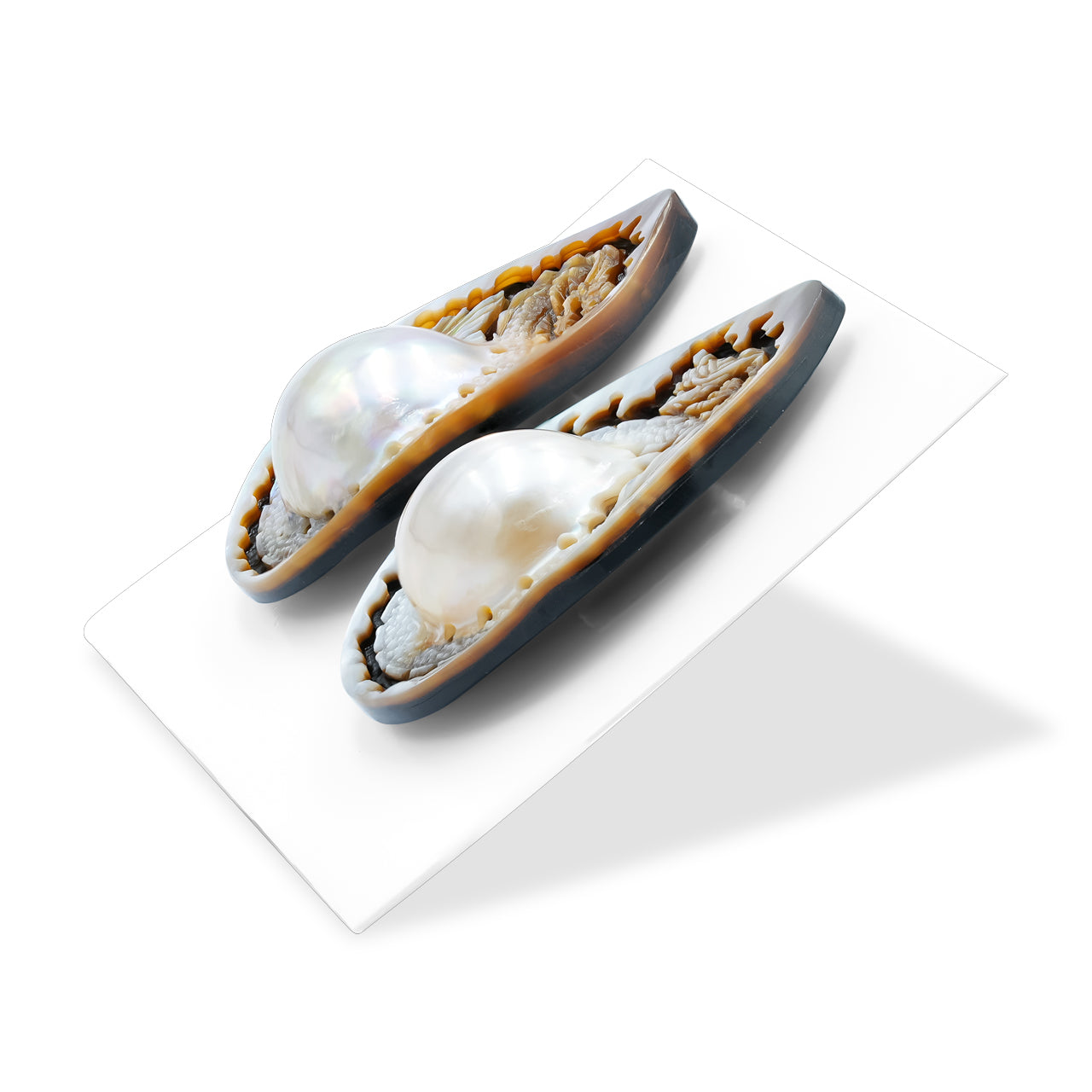 Pear Mabe Pearl Dragon Carving