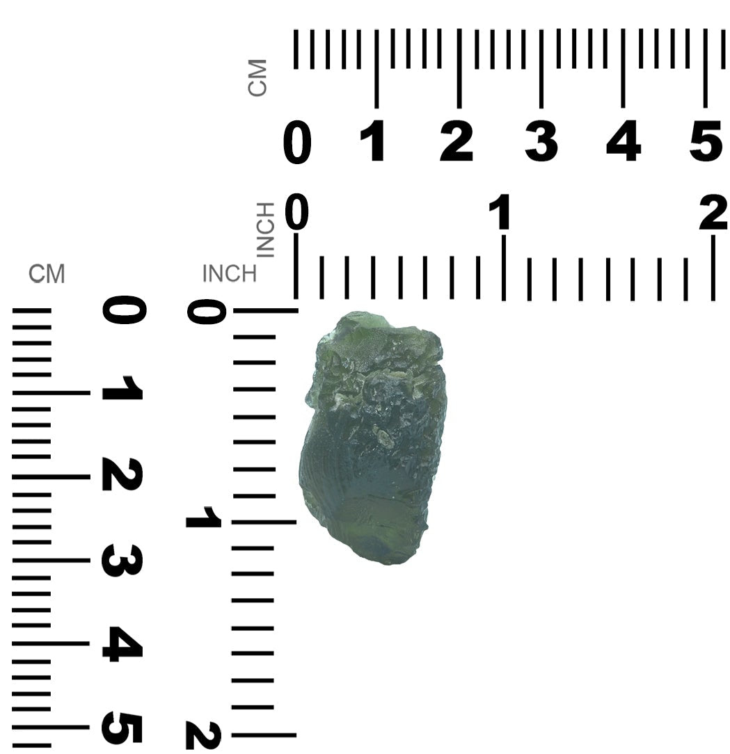 Starborn Rough Moldavite 49.1 ct Collector's Corner Specimen