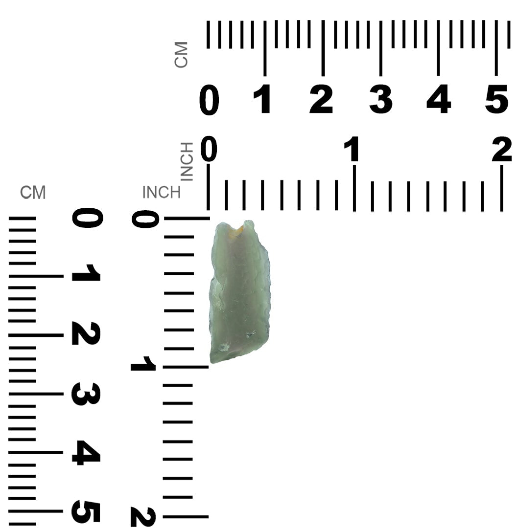 Starborn Rough Moldavite 9.3 ct Collector's Corner Specimen