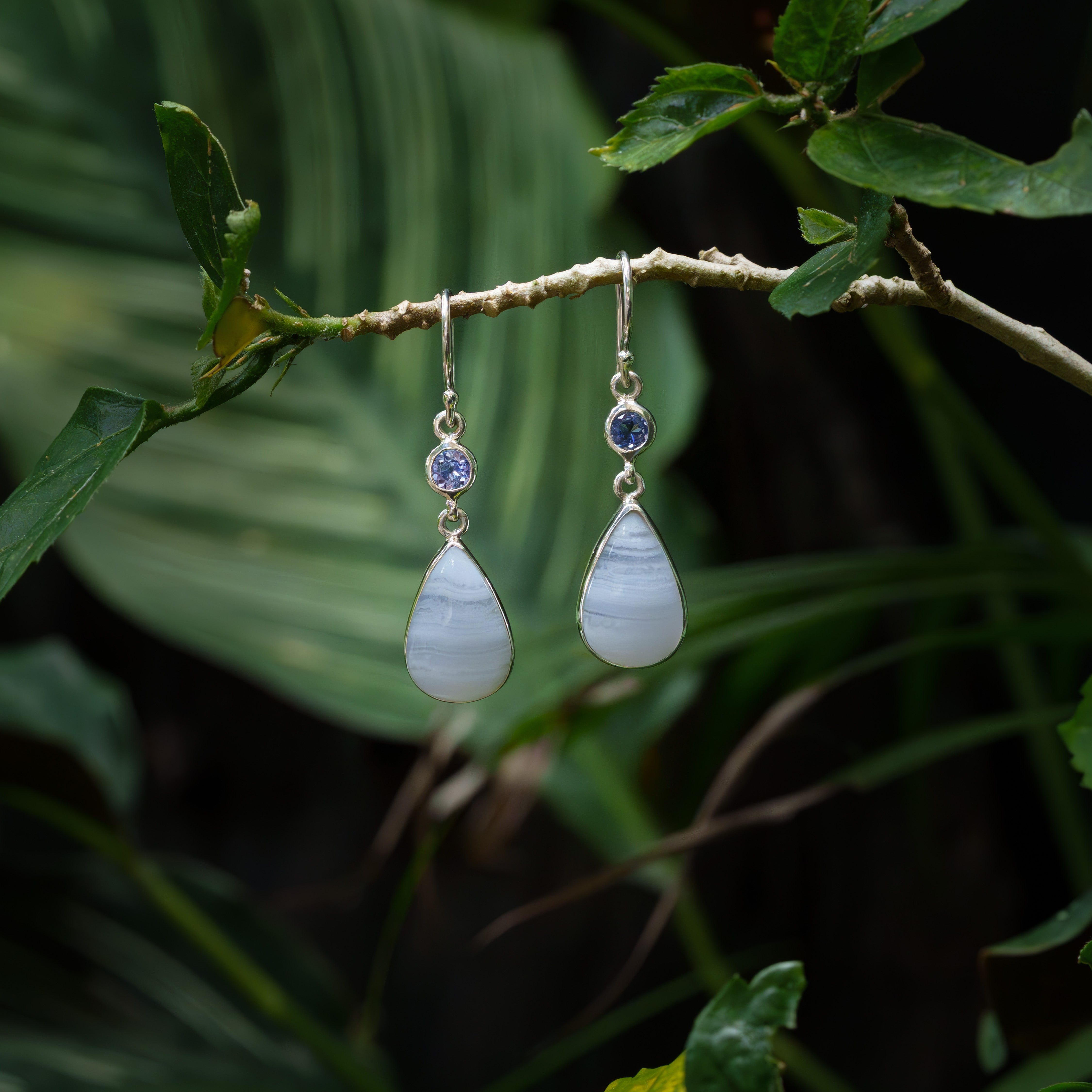 Sarborn Blue Lace Agate Dangle Earrings in Sterling Silver