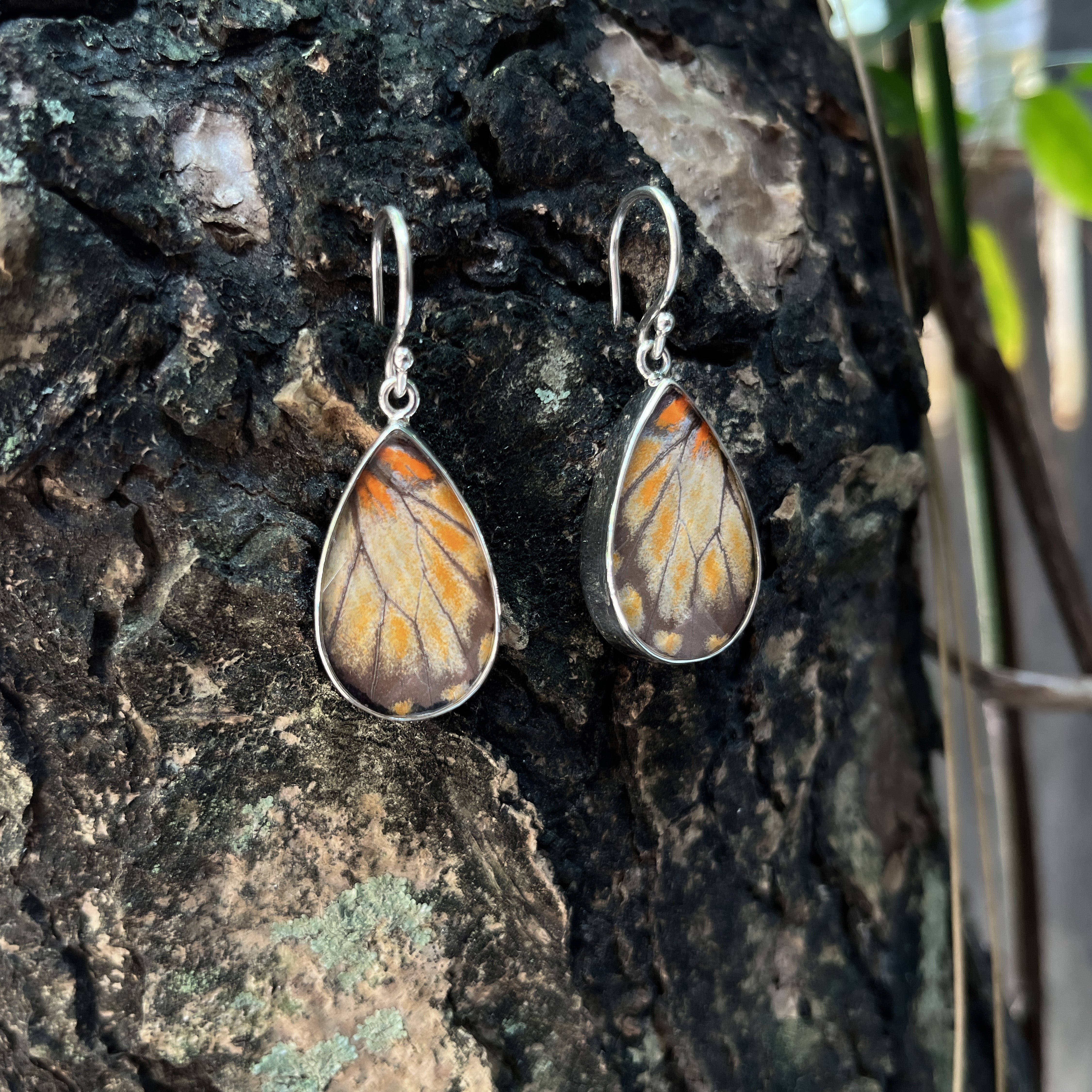 Starborn Butterfly Wing Earrings in Sterling Silver
