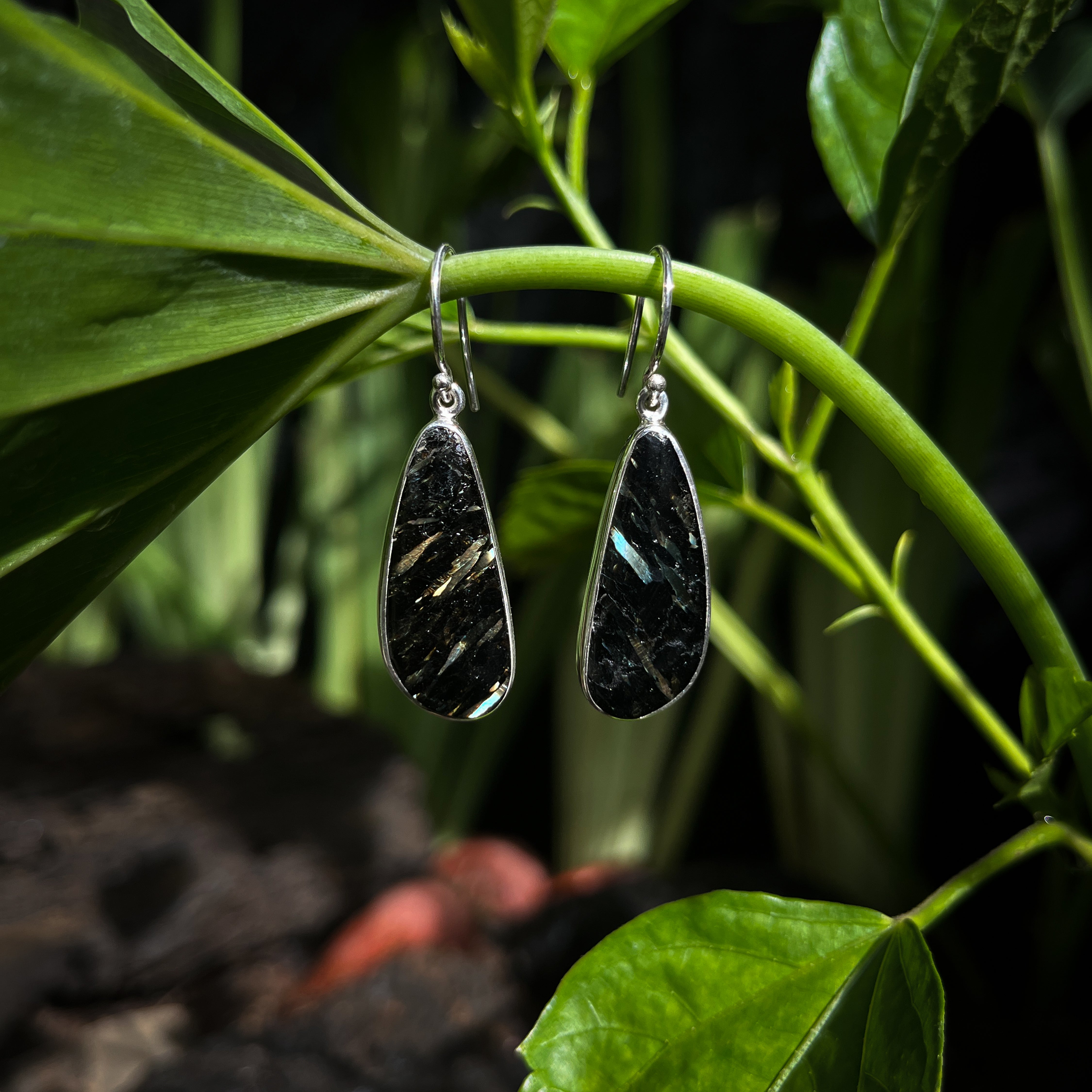 Starborn Nuummite Dangle Earrings in Sterling Silver