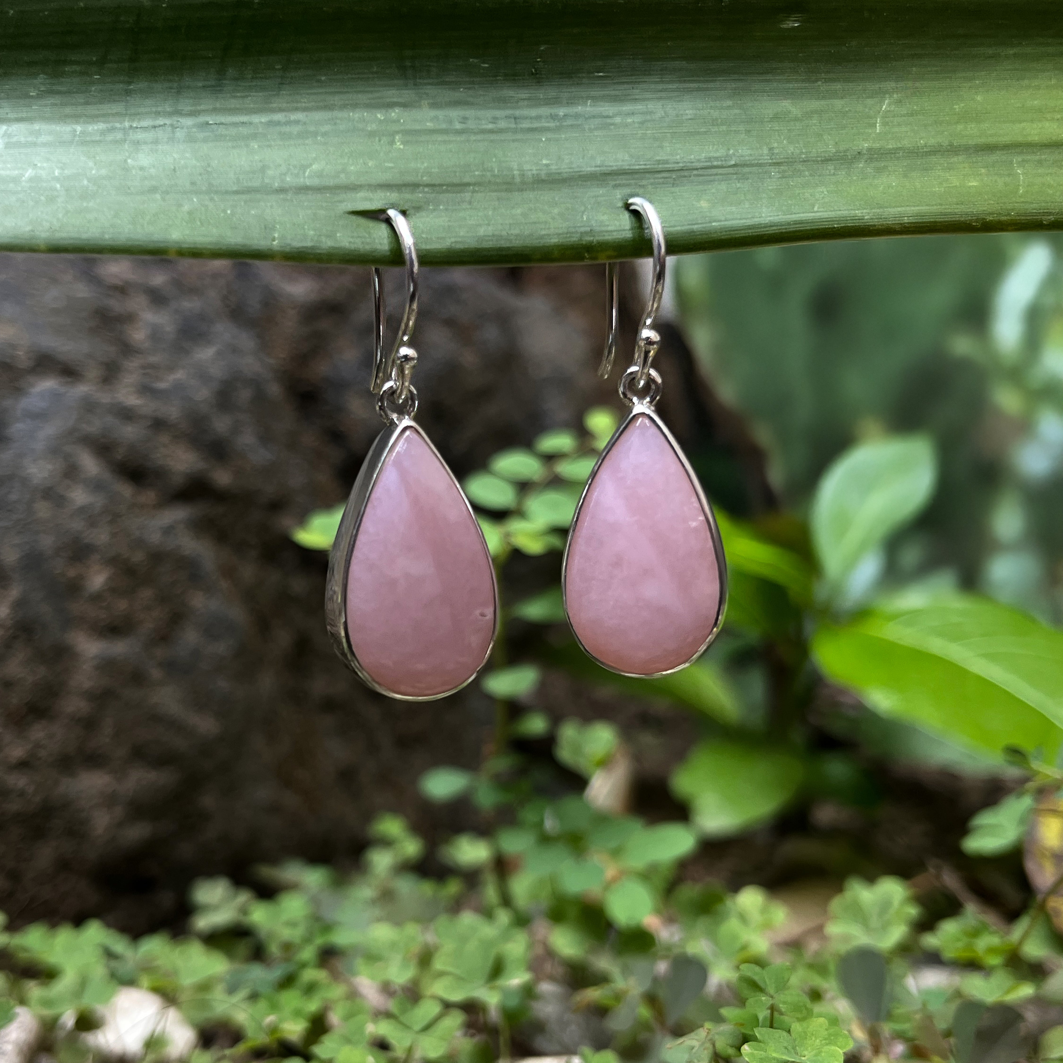 Starborn Pink Opal Dangle Earrings in Sterling Silver