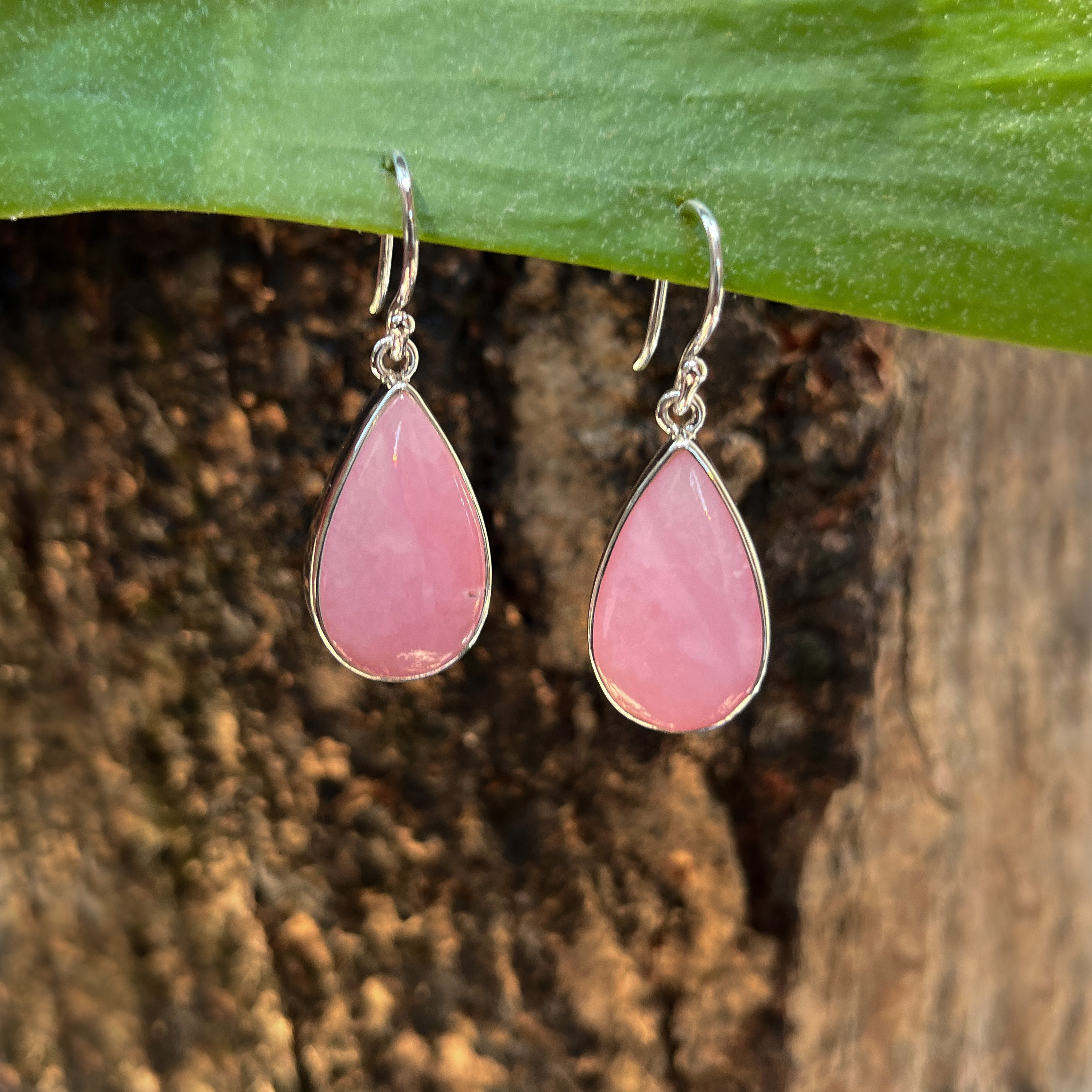 Starborn Pink Opal Dangle Earrings in Sterling Silver
