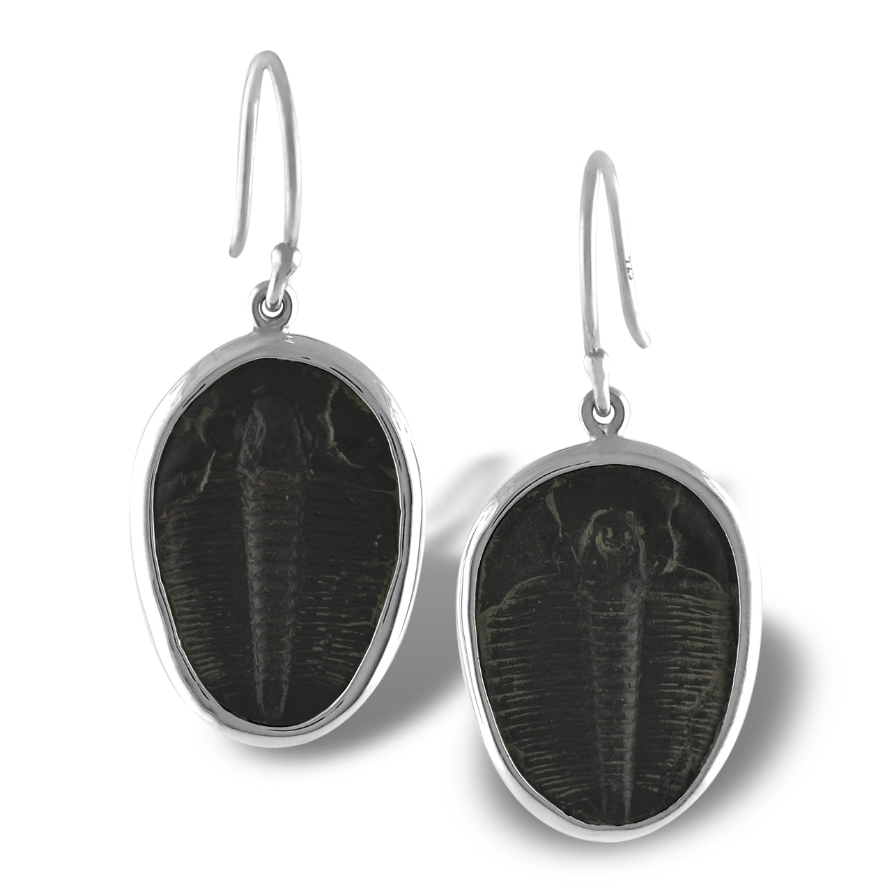Unique Trilobite Drop Earring