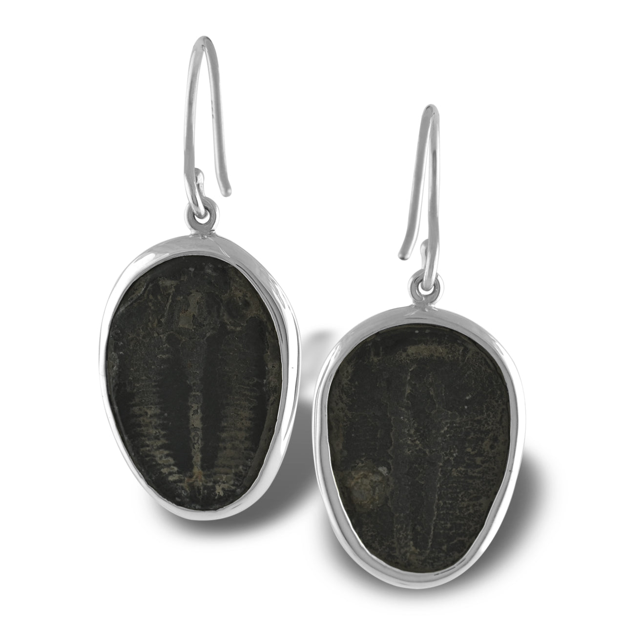 Unique Trilobite Drop Earring