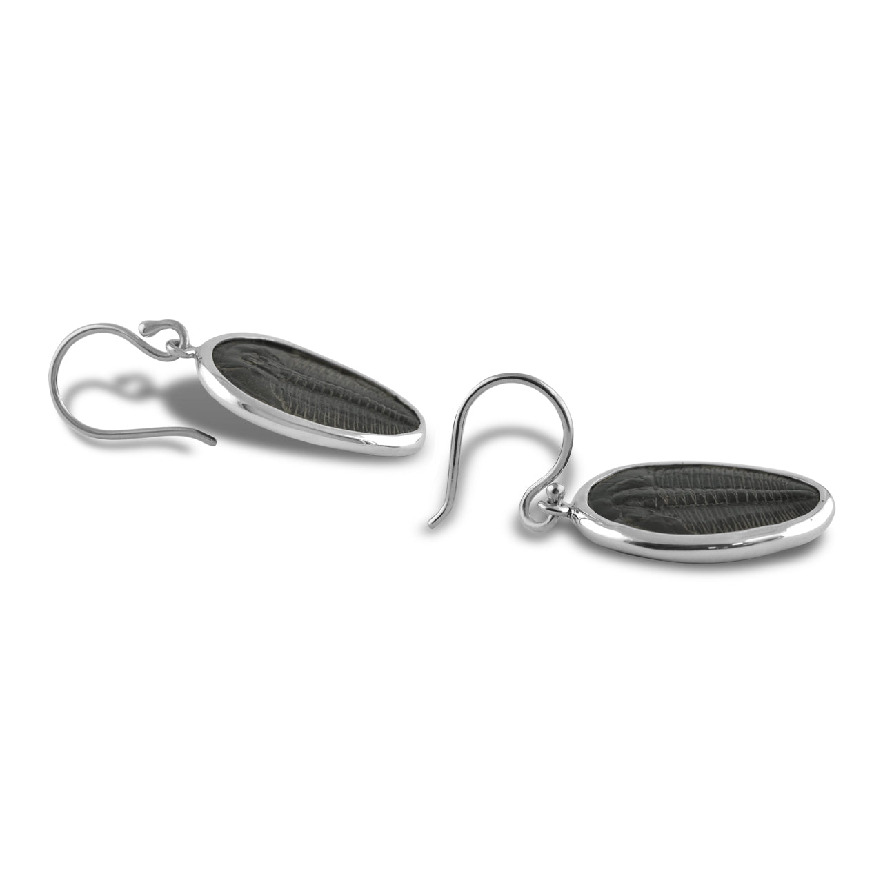 Unique Trilobite Drop Earring