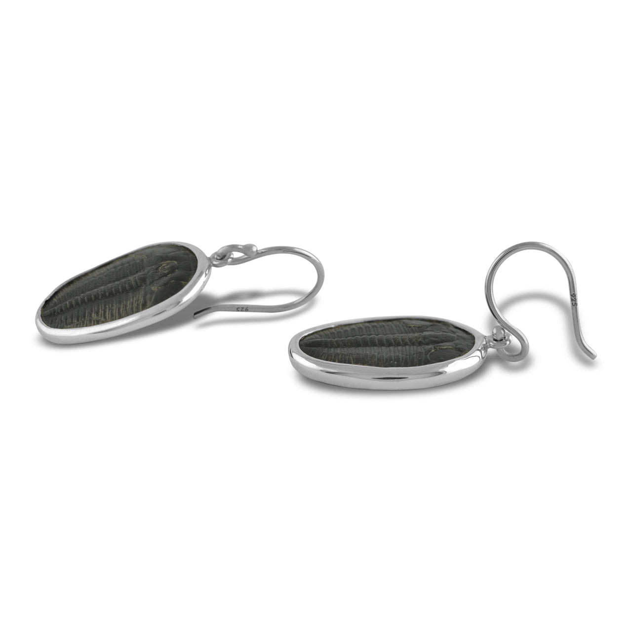 Unique Trilobite Drop Earring