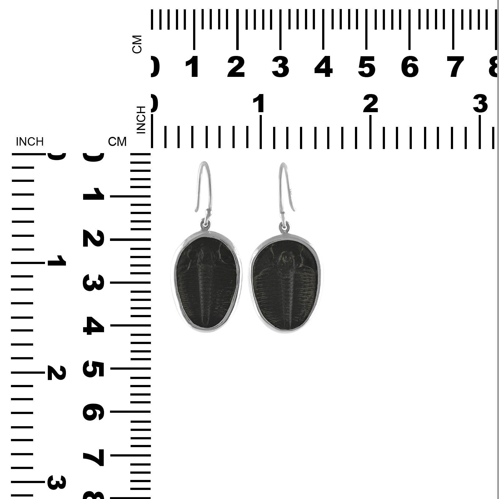 Unique Trilobite Drop Earring