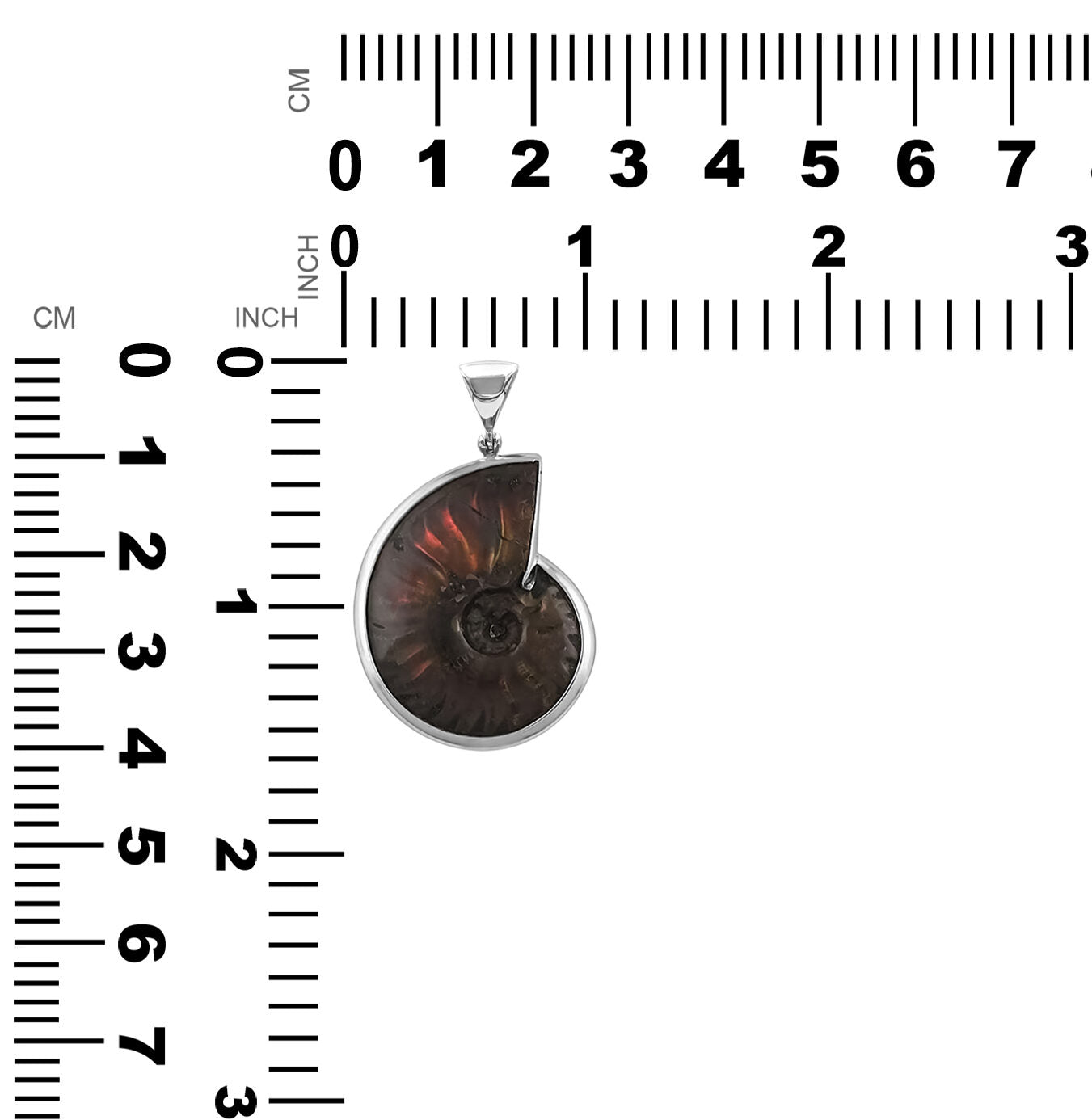 Red Ammonite Pendant