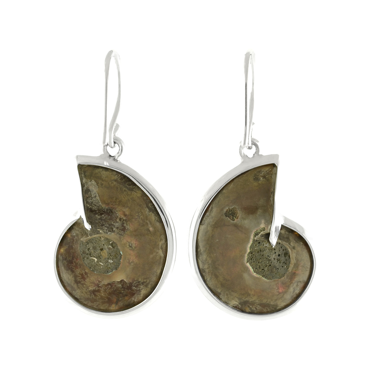 Ammonite with Pyrite Inlay Earrings