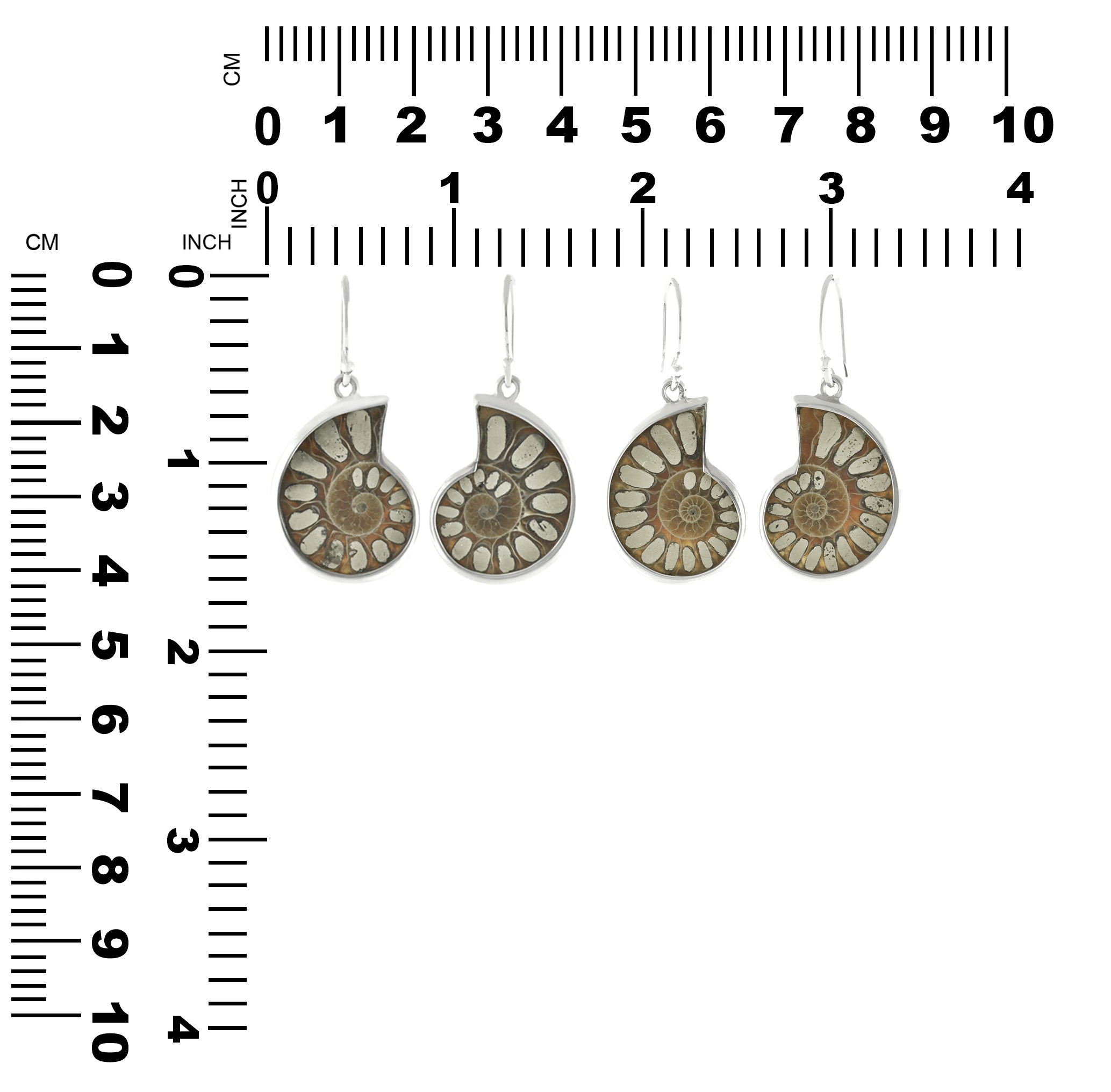 Ammonite with Pyrite Inlay Earrings