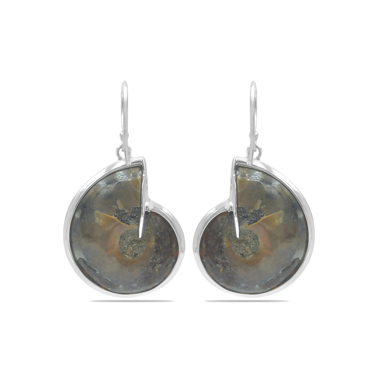 Ammonite with Abalone Shell Inlay Earrings