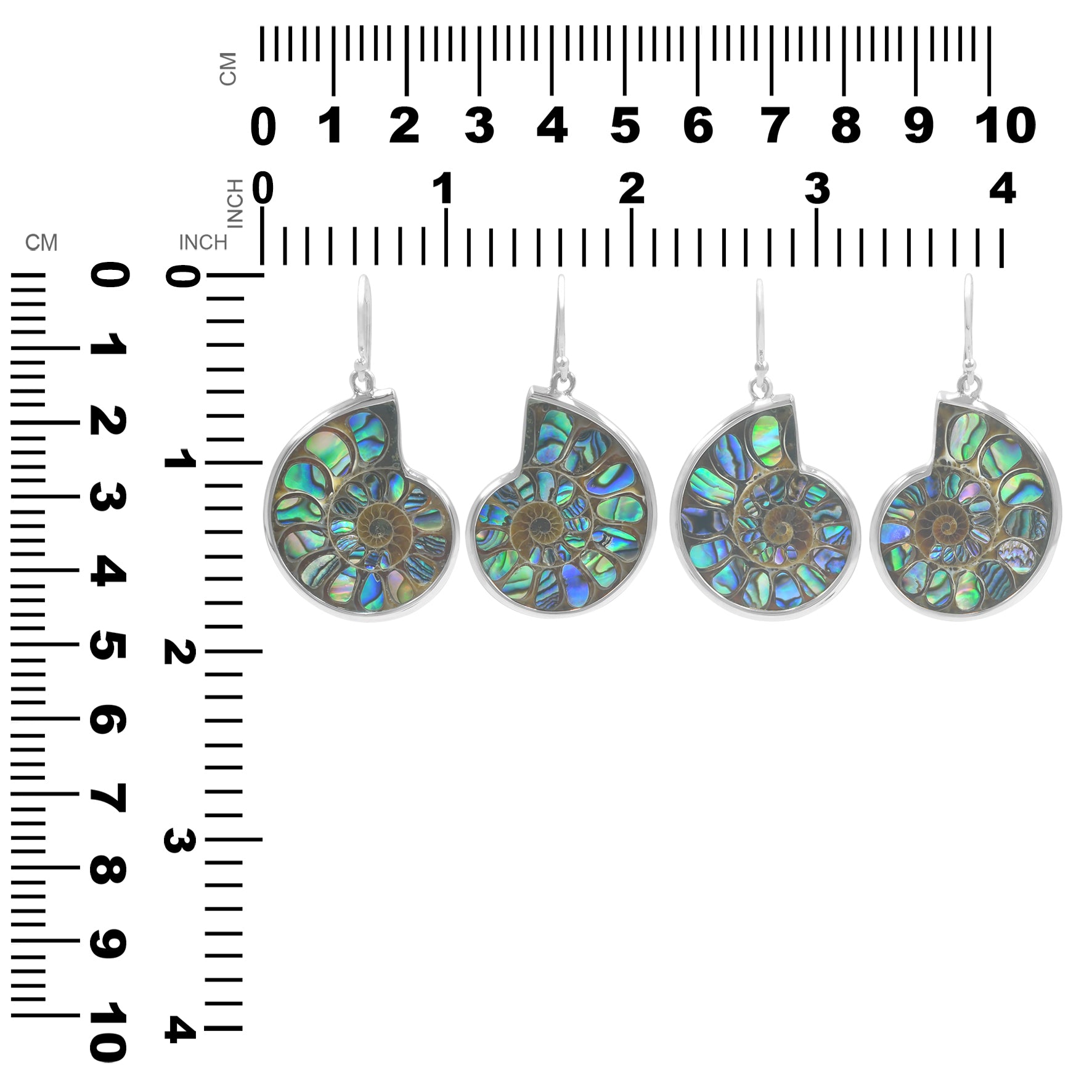 Ammonite with Abalone Shell Inlay Earrings