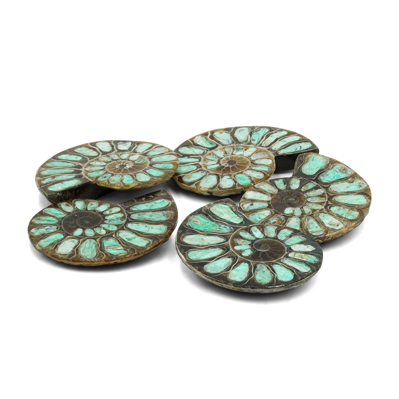 Ammonite with Smithsonite Inlay