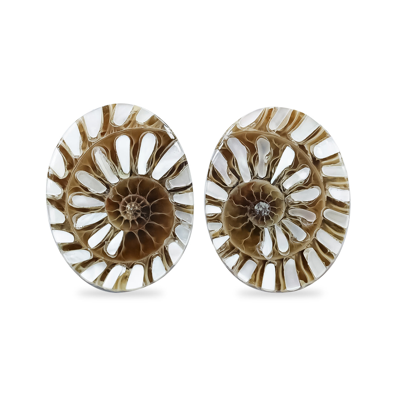 Ammonite with Mother of Pearl Inlay Oval Cabochon