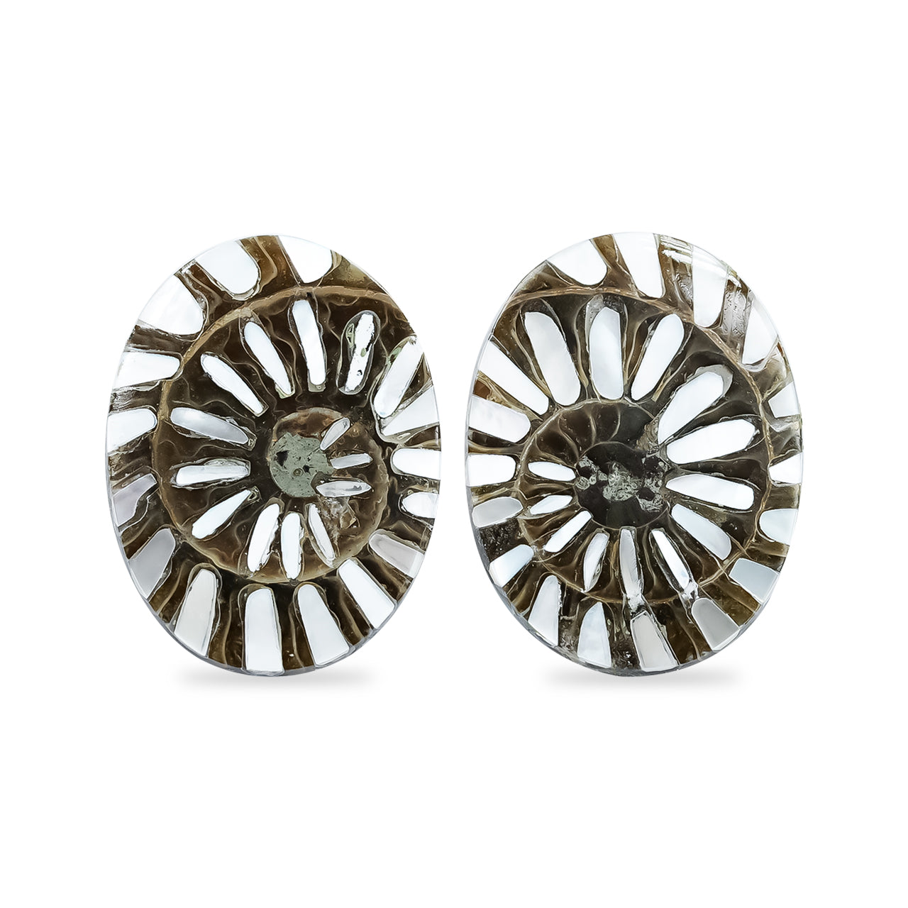 Ammonite with Mother of Pearl Inlay Oval Cabochon