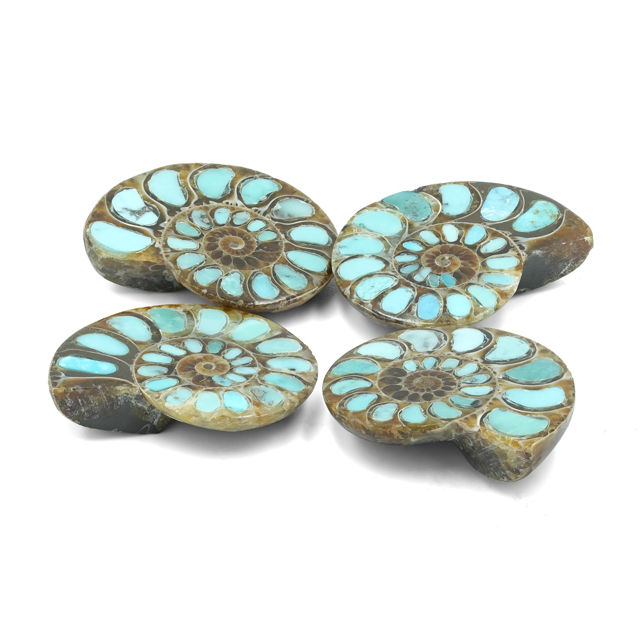 Ammonite with Turquoise 29-30mm