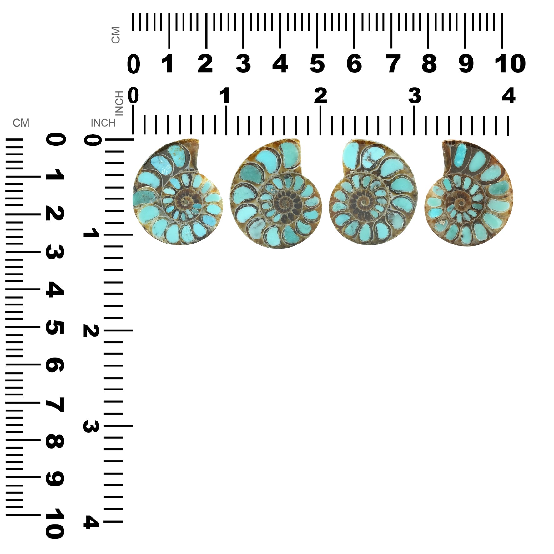Ammonite with Turquoise 29-30mm