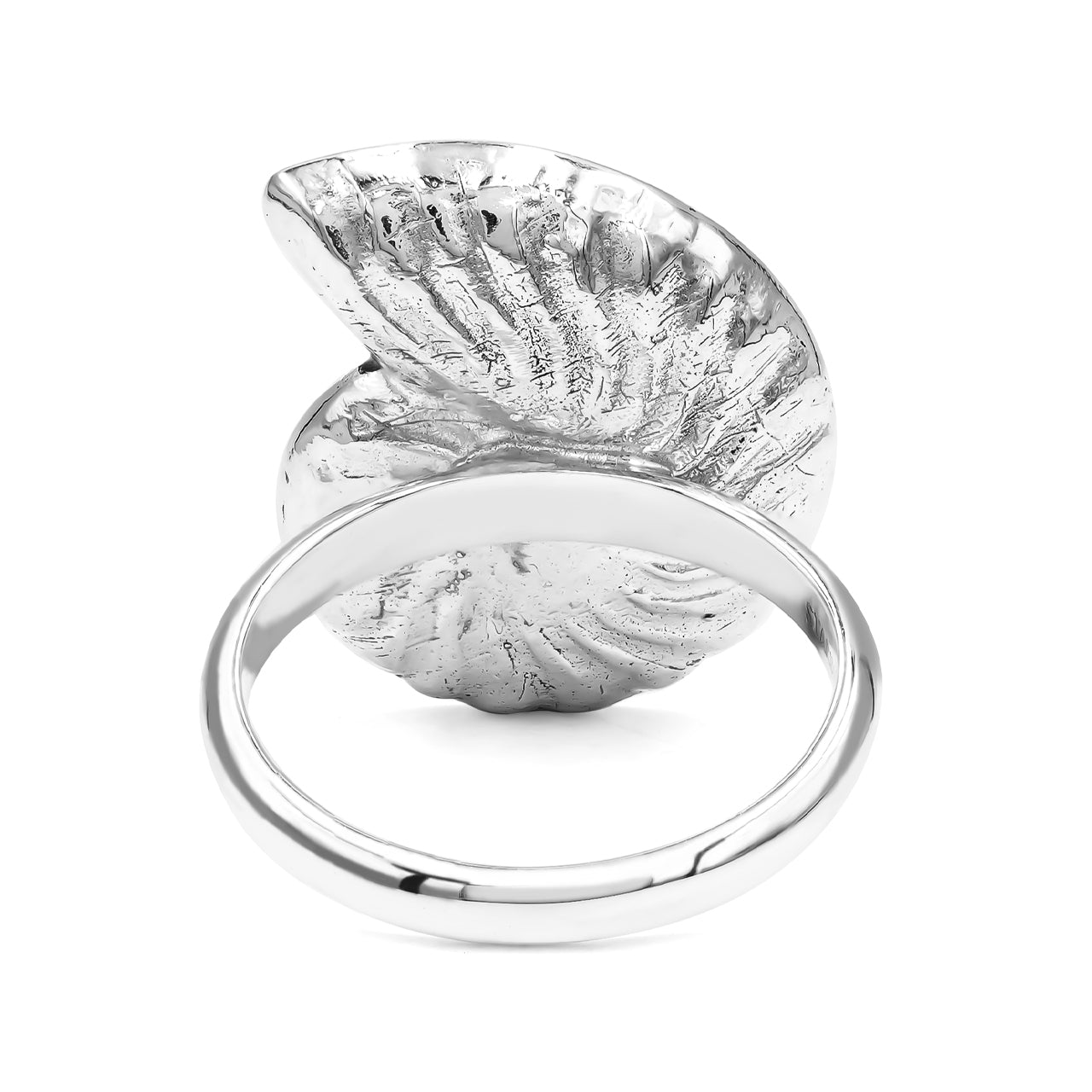 Ammonite Inlay Ammolite Ring
