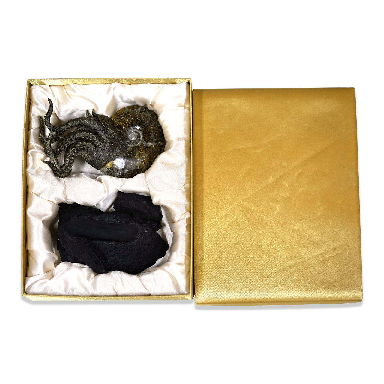 Ammonite Nautilus with its lava stone 20 cm in height.
