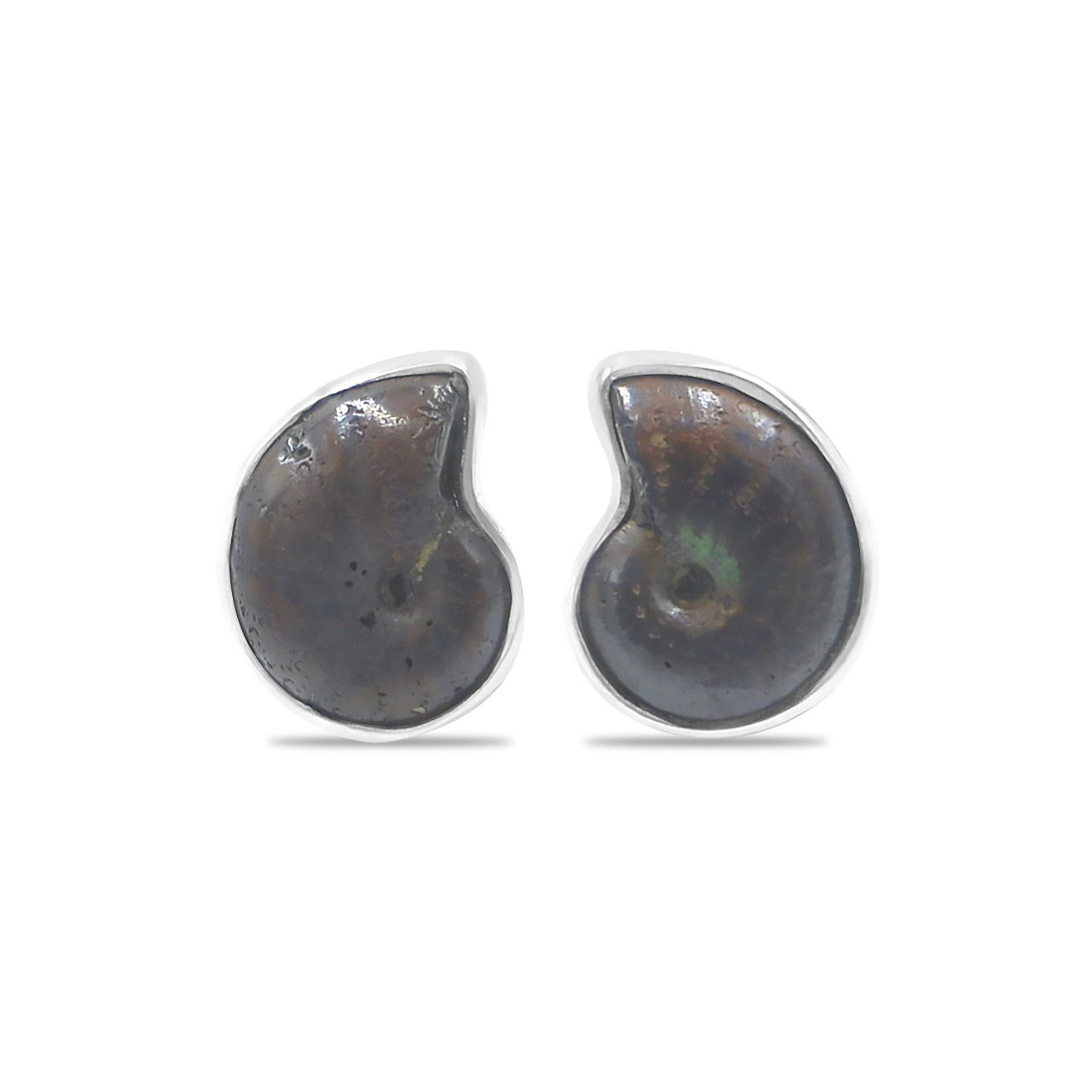 Hematite Ammonite Post Style Earrings