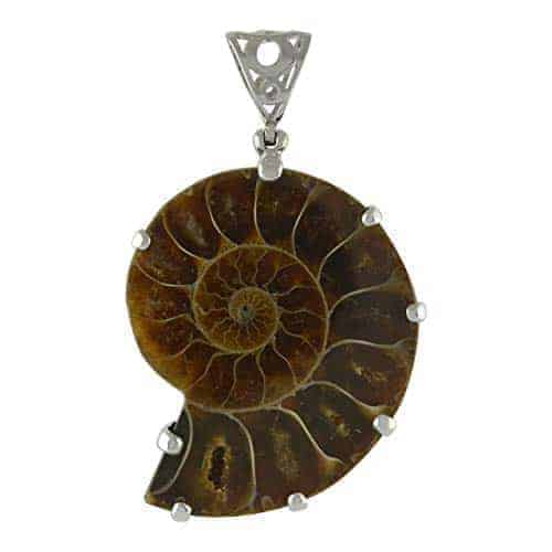 Front view of a fossilized ammonite pendant held in a sterling silver prong setting with a filigree bale.
