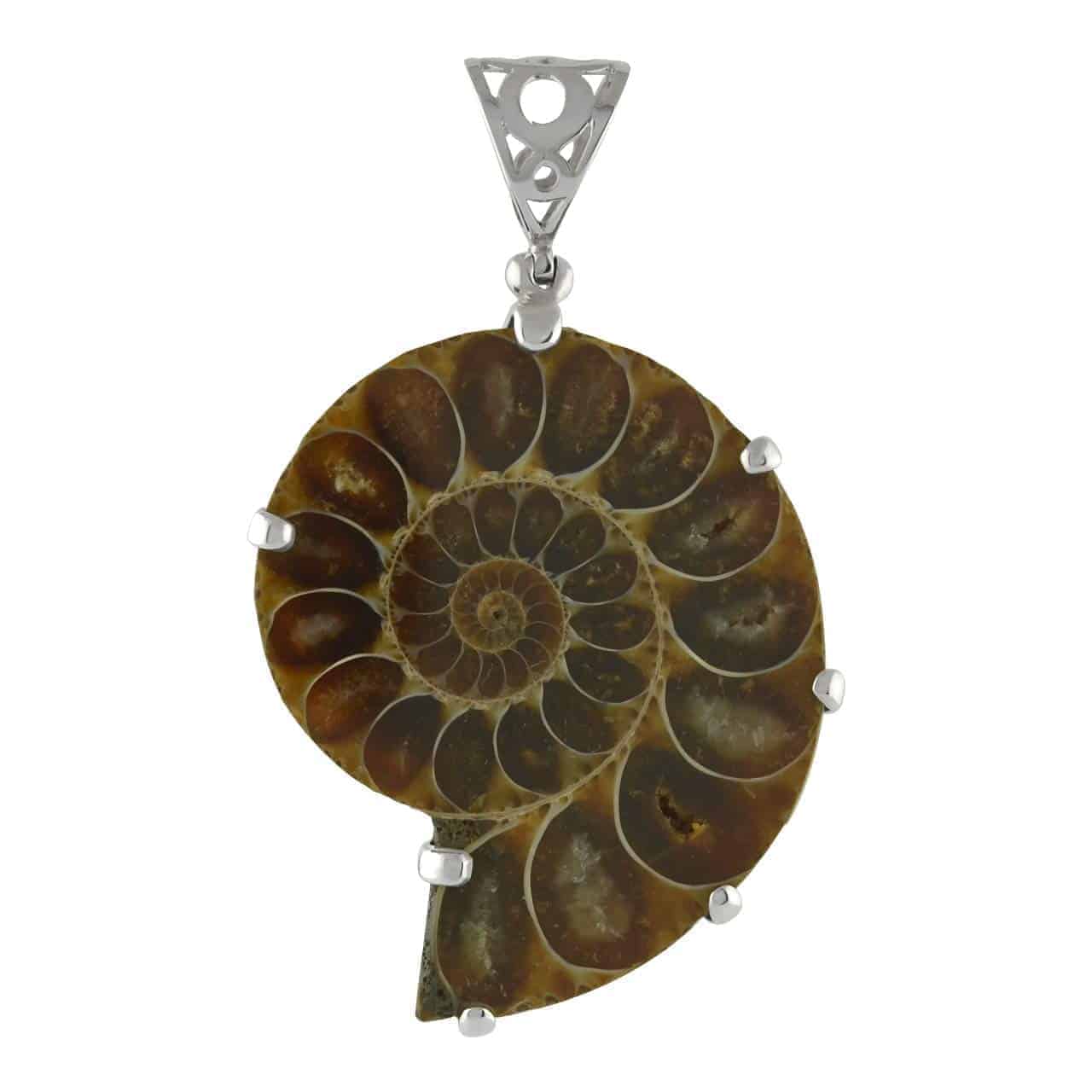 Second front view of the fossilized ammonite pendant showing the spiral chamber and the prong setting