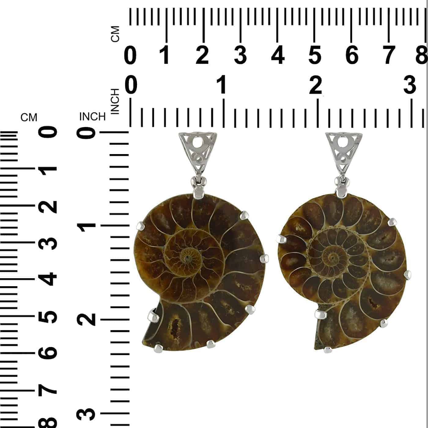 Pairs of ammonite silver pendants displayed next to a measurement chart showing height and width in centimeters and inches.