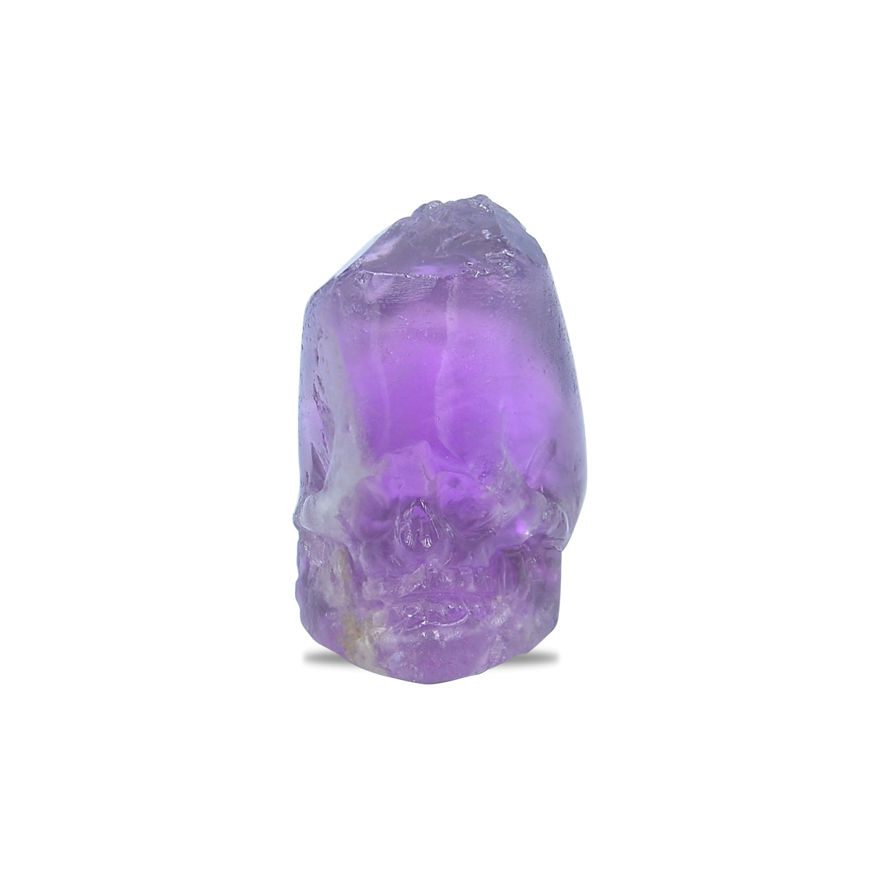 CAMTCV001.4