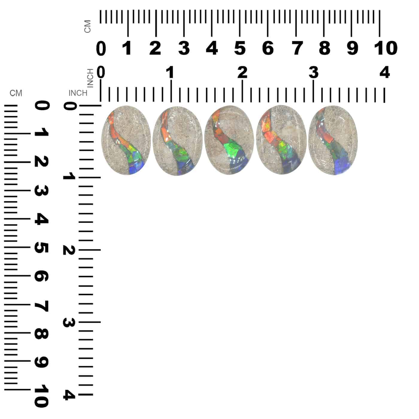 CDBILS101 V.8