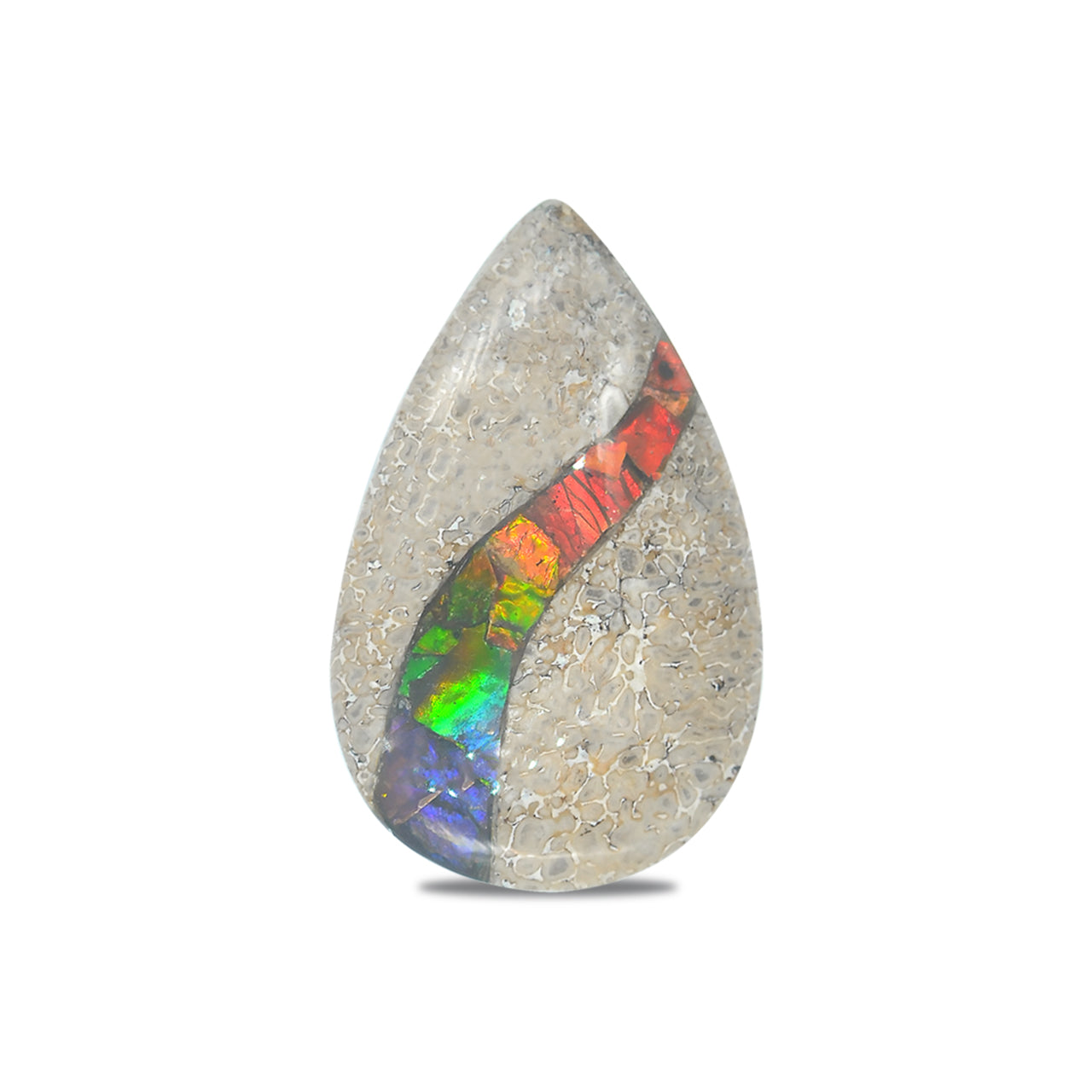 Dinosaur Bone with Ammolite Inlay Pear 25x40 mm