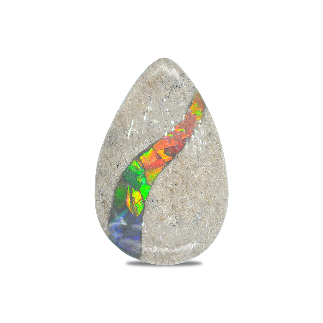 Dinosaur Bone with Ammolite Inlay Pear 25x40 mm