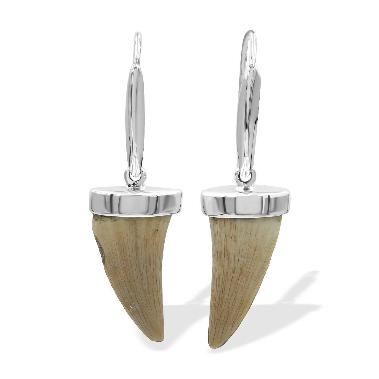 Fossil Mossasaurus Tooth Earrings
