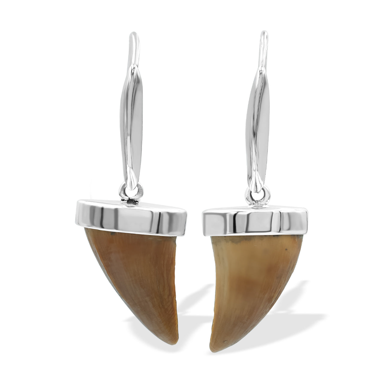 Fossil Mossasaurus Tooth Earrings