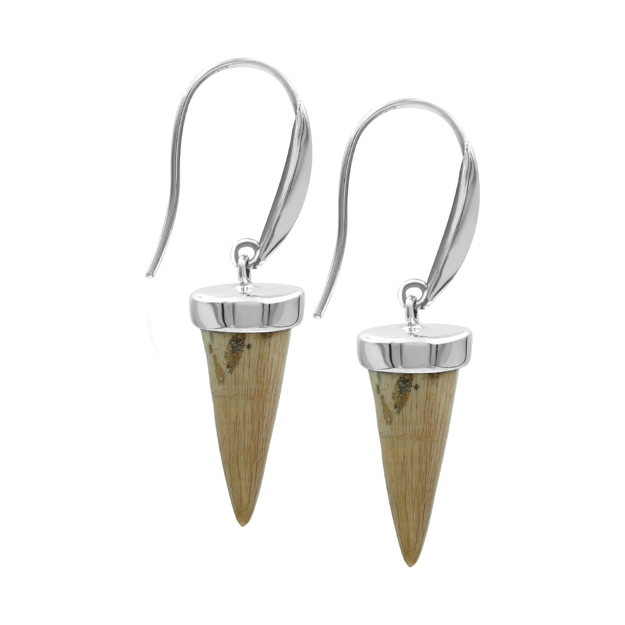 Fossil Mossasaurus Tooth Earrings