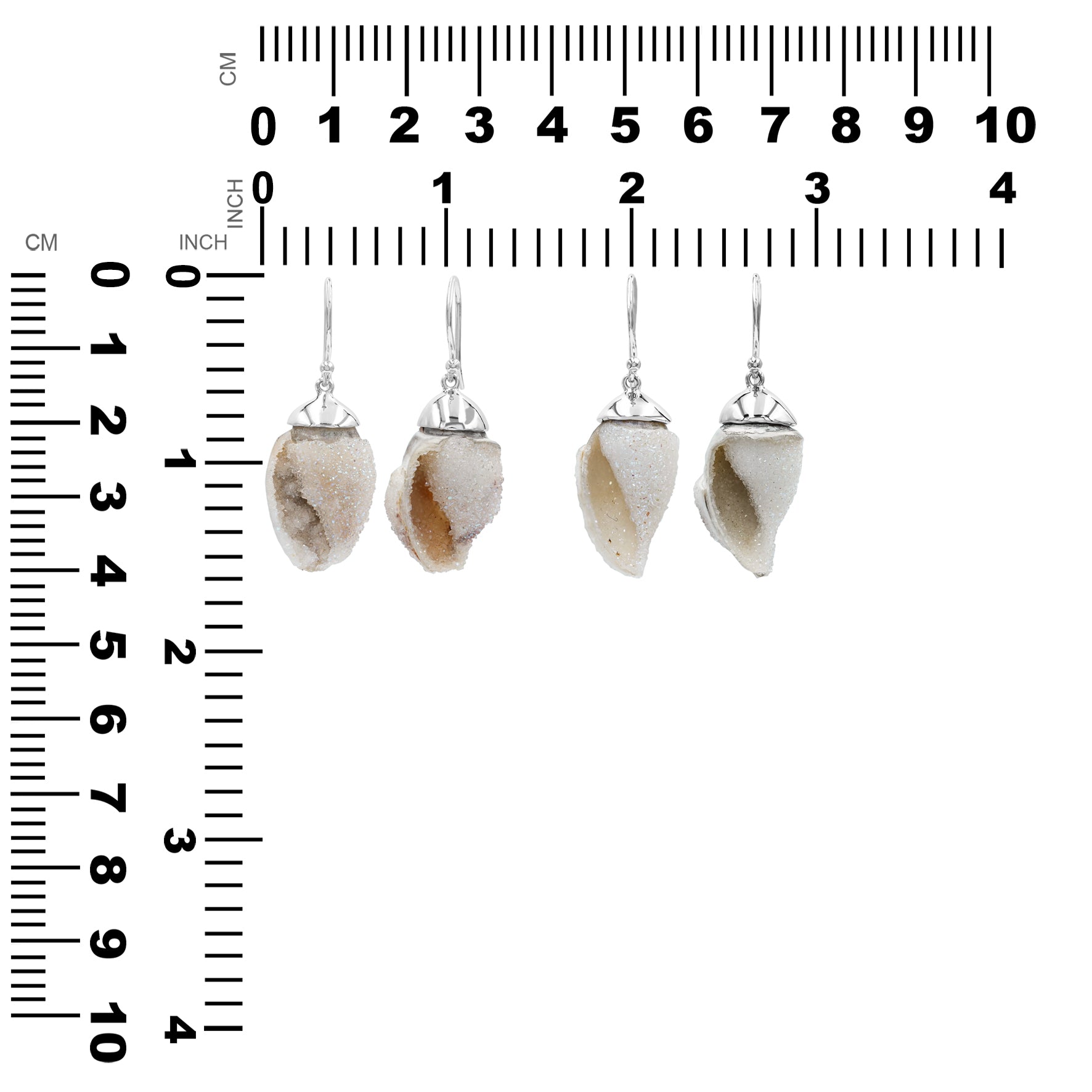 Drusy Fossilized Shell Earring