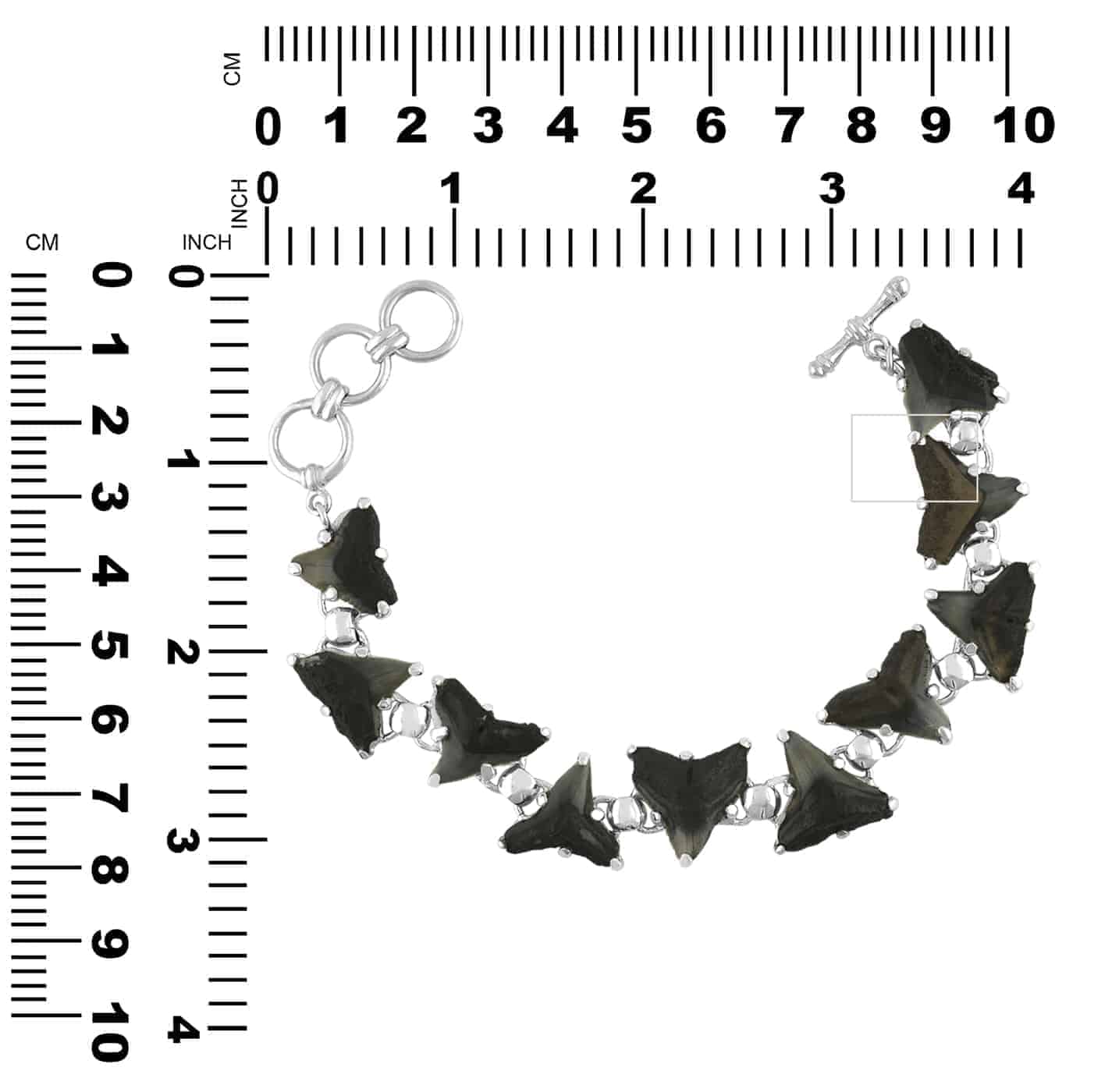CFSTBR001.5
