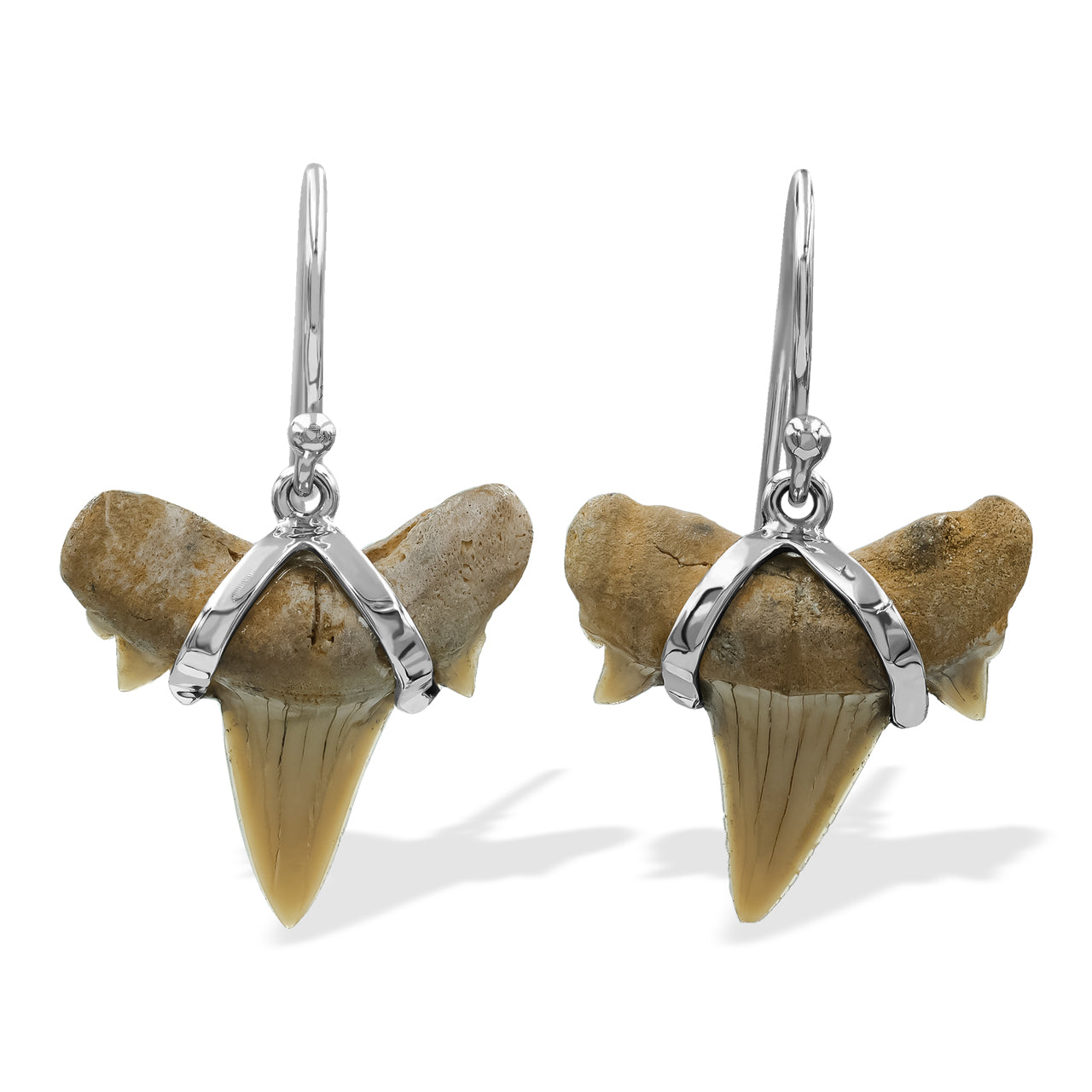 Fossil Shark Tooth Wrapped Wire Earrings