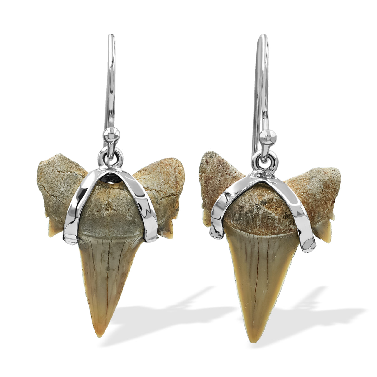 Fossil Shark Tooth Wrapped Wire Earrings